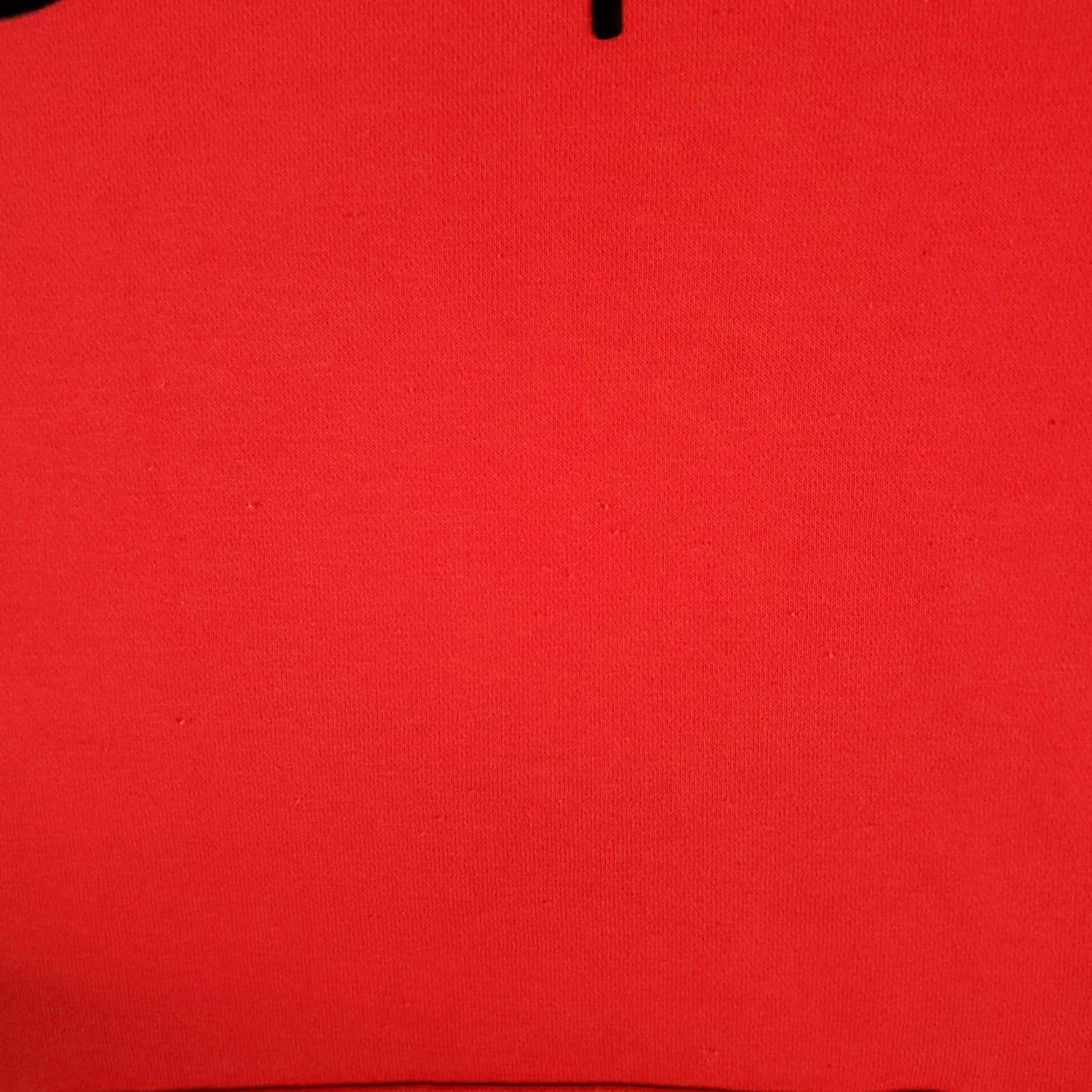 Champion Champion Red Hoodie Pullover Sweatshirt Adult Small Long Sleeve Fleece Logo Sports Unisex Size US S / EU 44-46 / 1 - 6 Thumbnail