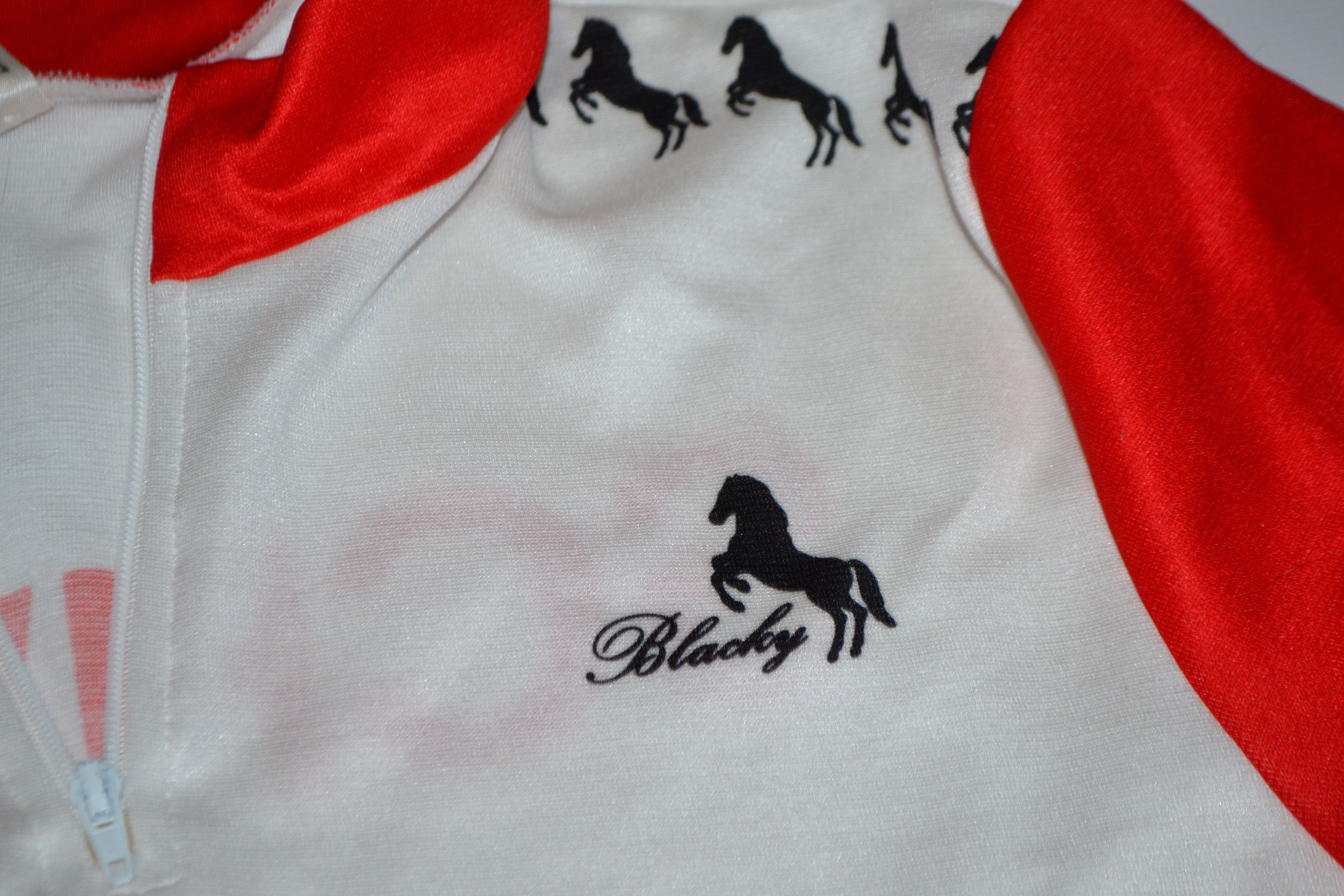 Other Blacky Switzerland Team Vintage Cycling 90s Jersey Maillot Size US L / EU 52-54 / 3 - 5 Thumbnail