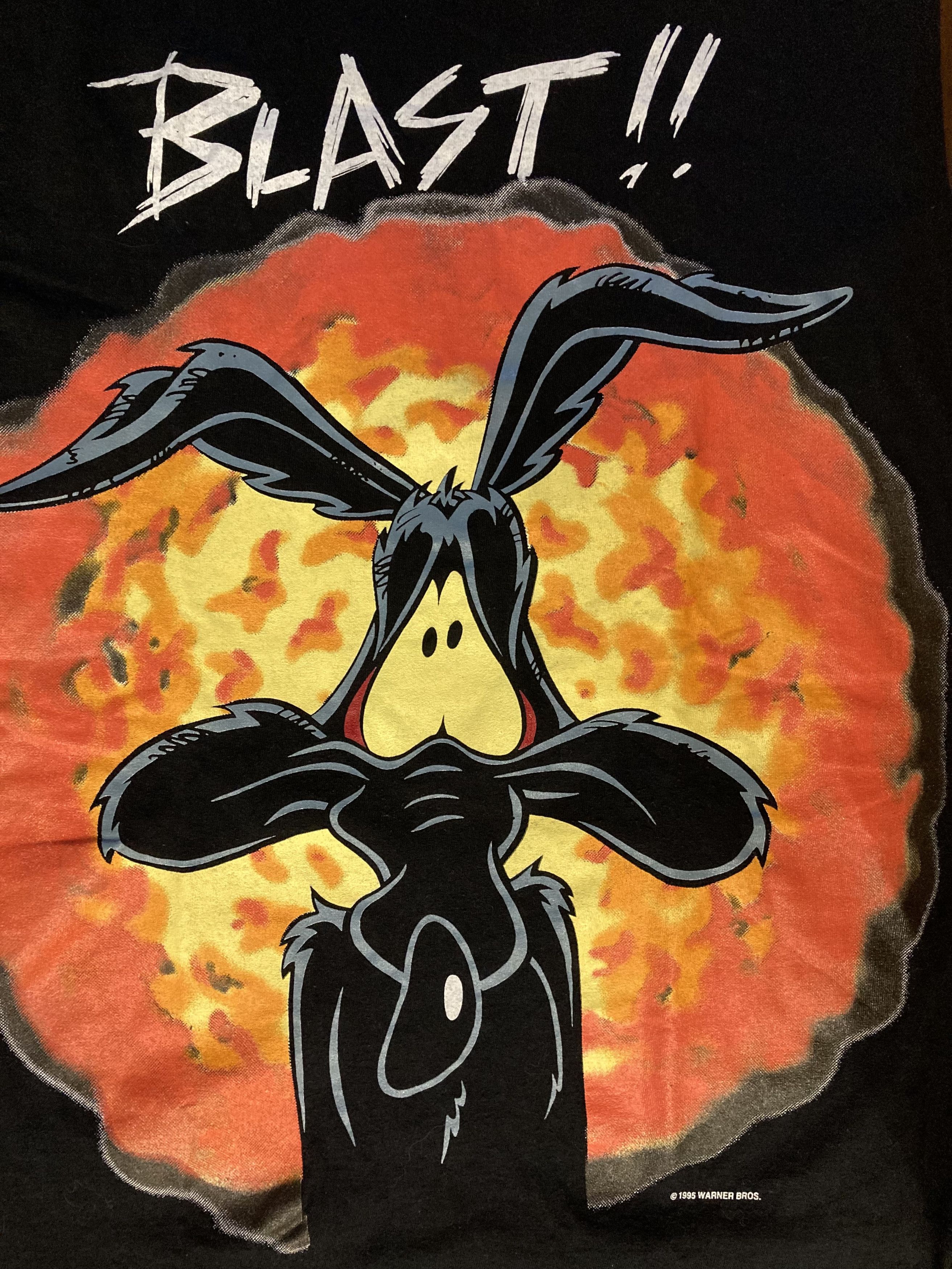 Warner Bros VTG 1995 Warner Bros Looney Tunes Coyote Road Runner Blast Size US M / EU 48-50 / 2 - 6 Thumbnail