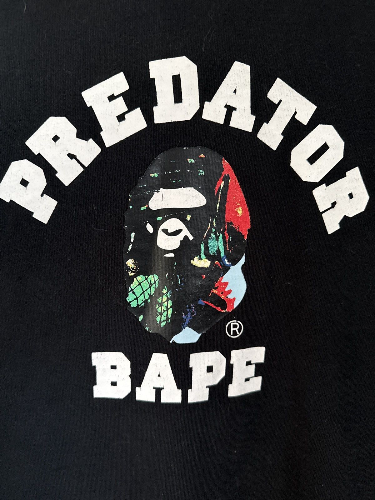 Bape Bape x Alien vs Predator Hoodie Size US L / EU 52-54 / 3 - 3 Thumbnail
