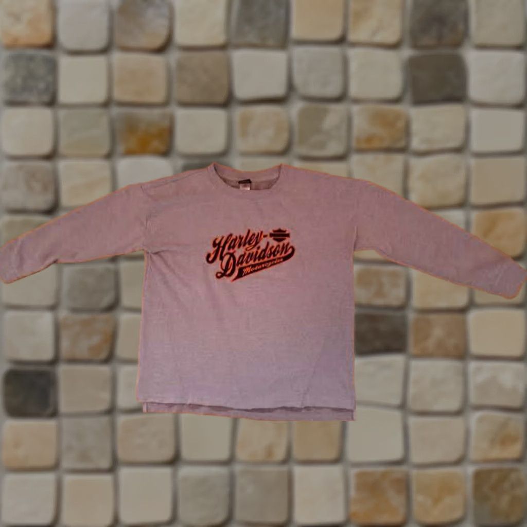 Harley Davidson Harley Davidson Sweatshirt Large Grey Detroit Michigan Motown Stitched Size US L / EU 52-54 / 3 - 1 Thumbnail