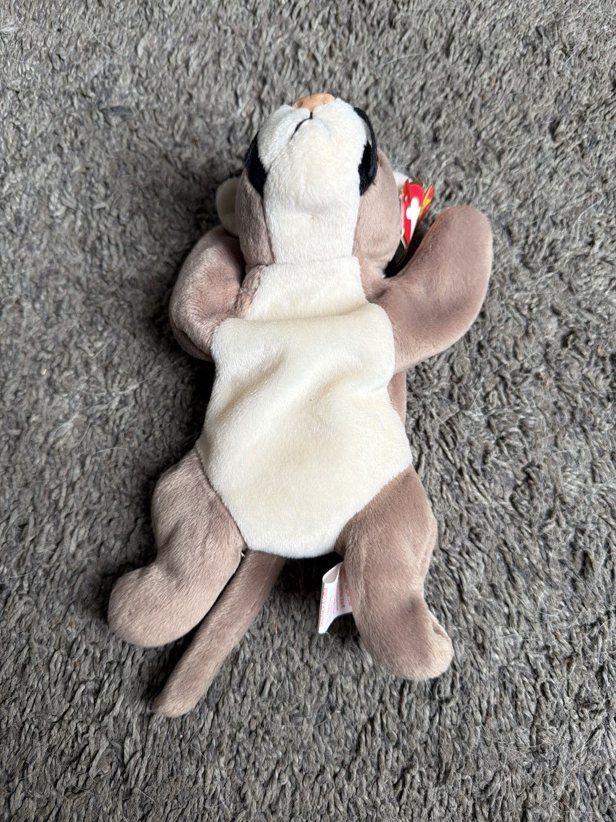 Vintage 1998 Ty Canyon Beanie Baby Size ONE SIZE - 2 Thumbnail