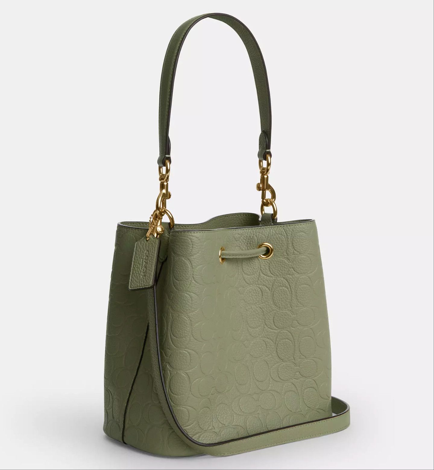 Coach Rowan Bucket Bag In Signature Leather CEA96 Gold/Pistachio Size ONE SIZE - 9 Thumbnail