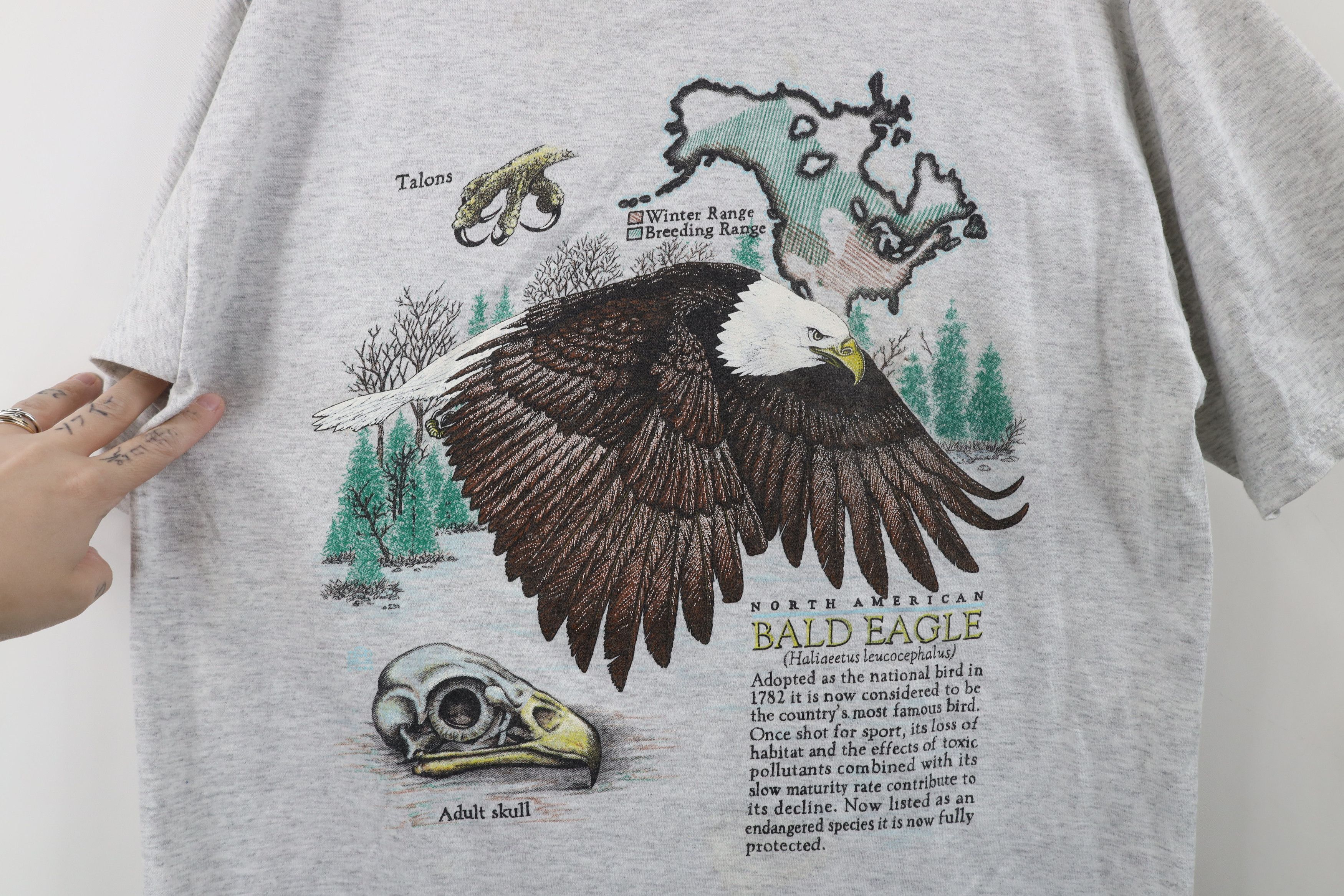 Vintage Vintage 90s Streetwear North American Bald Eagle T-Shirt USA Size US L / EU 52-54 / 3 - 4 Thumbnail