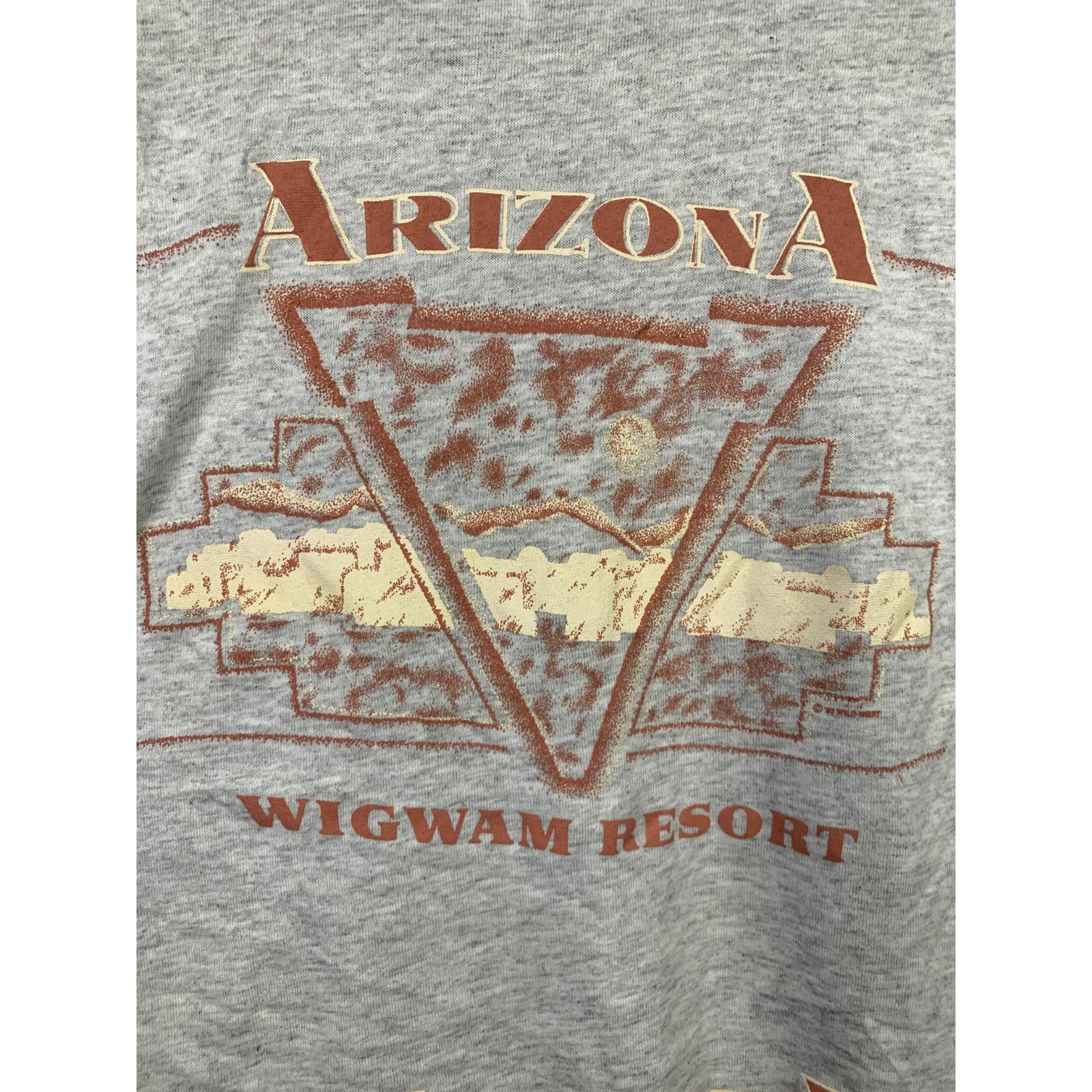Jerzees Vintage State Co-Ed Shirt A-B-C Journey Arizona Test Print L Size US L / EU 52-54 / 3 - 8 Thumbnail