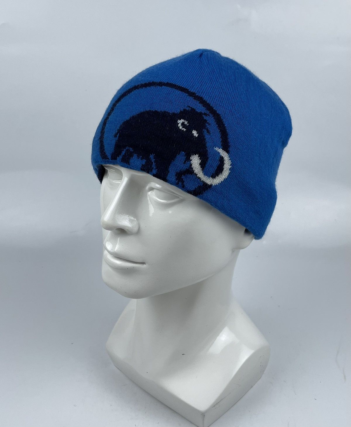 Mammut mammut reversible beanie hat tc4 Size ONE SIZE - 1 Thumbnail