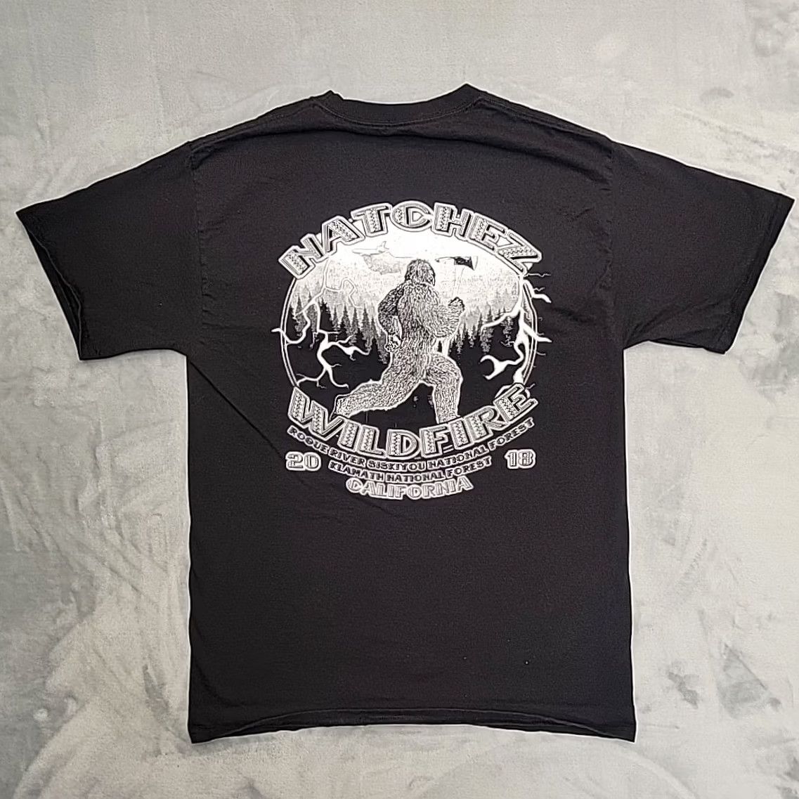 Hanes Wildland Firefighter Shirt Mens M 2018 Natchez Rouge River Klamath California Black Cotton Crew Neck Short Sleeve Graphic Print Angelfire? Size US M / EU 48-50 / 2 - 4 Thumbnail