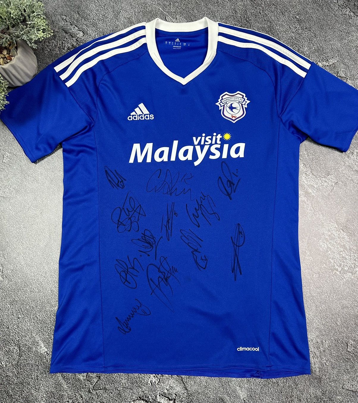 Adidas Cardiff City Soccer Jersey Football 2015/16 with autographs Size US S / EU 44-46 / 1 - 3 Thumbnail