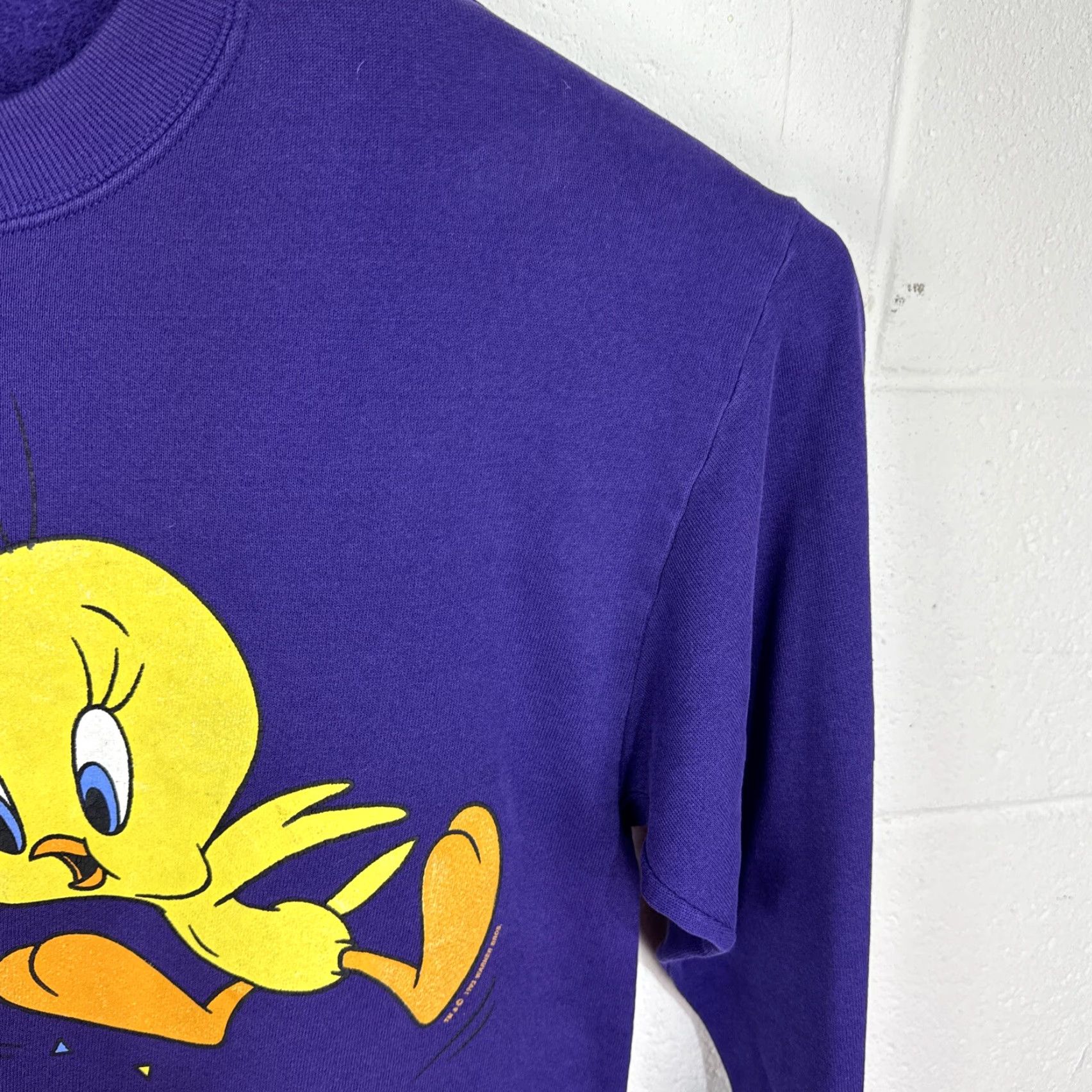 Vintage VINTAGE Garment Graphics Tweety Bird Crewneck Sweatshirt Large Purple Sweatshirt Unisex Adults Graphic Print Pullover Crew Neck Shirt Size US L / EU 52-54 / 3 - 5 Thumbnail