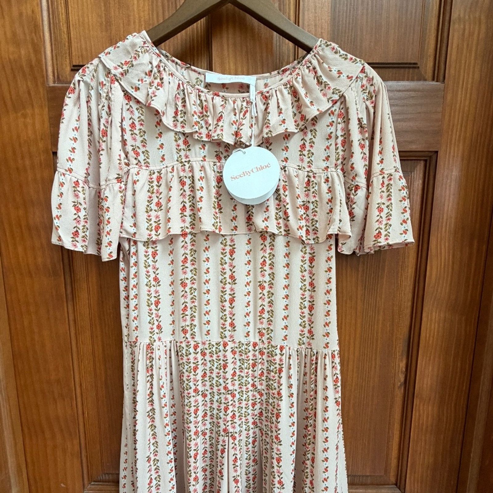 SeebyChloe Josephine Floral Ruffle Trim Mini Dress Size 6