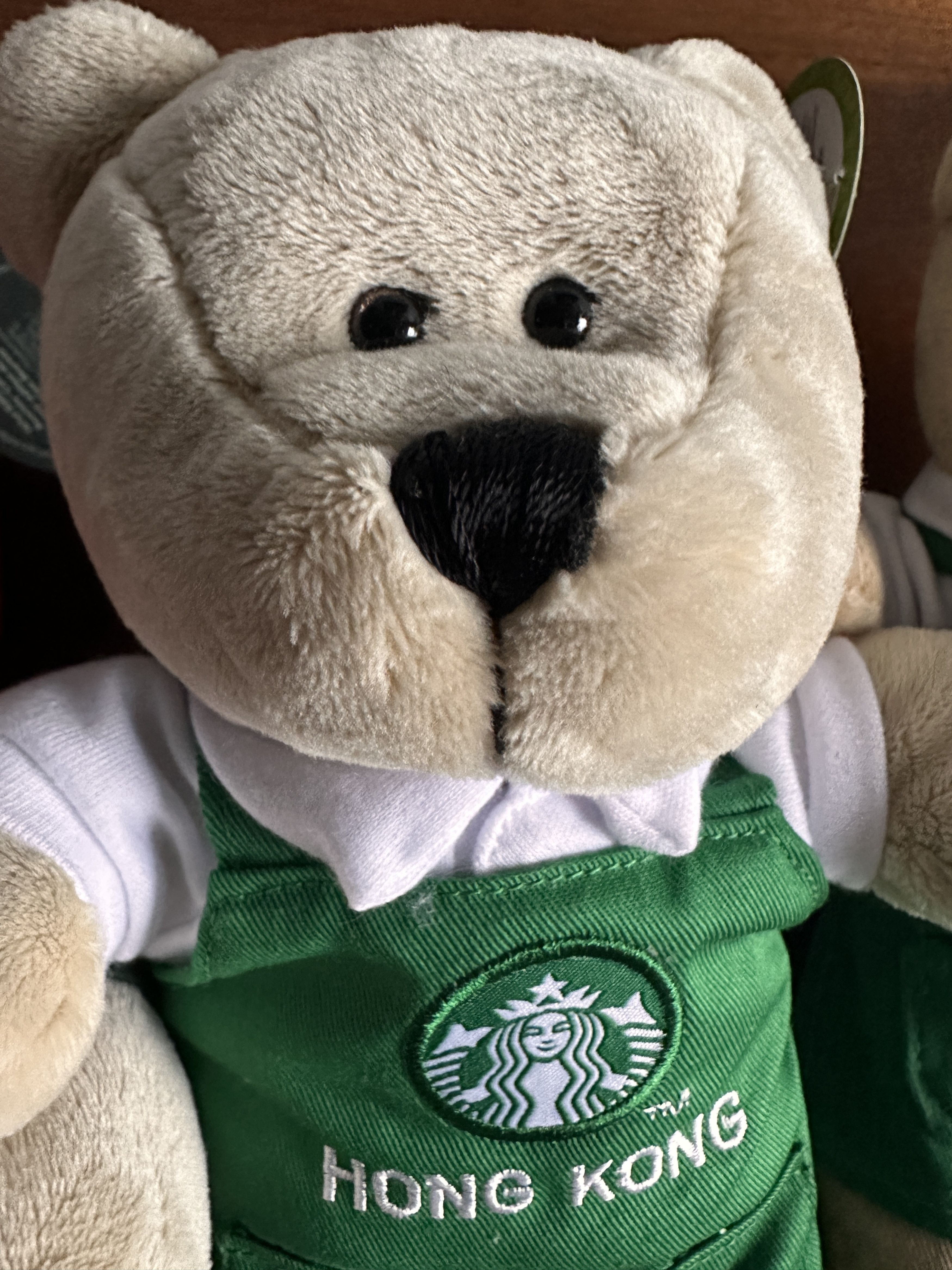 Other Starbucks Bearista Bears Size ONE SIZE - 5 Thumbnail