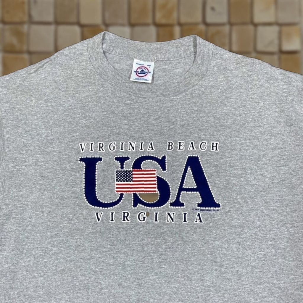 Delta Delta Virginia Beach Souvenir Graphic T-Shirt Large Grey Men Size US L / EU 52-54 / 3 - 1 Thumbnail