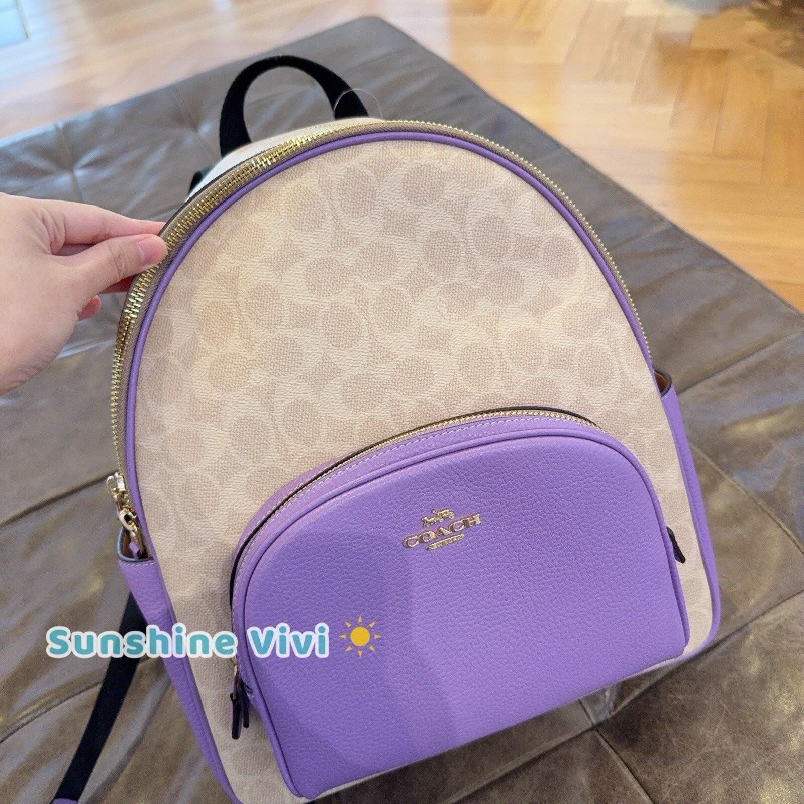 Coach NWT Coach Court Backpack Signature Canvas CZ176 Sand/Iris Size ONE SIZE - 5 Thumbnail
