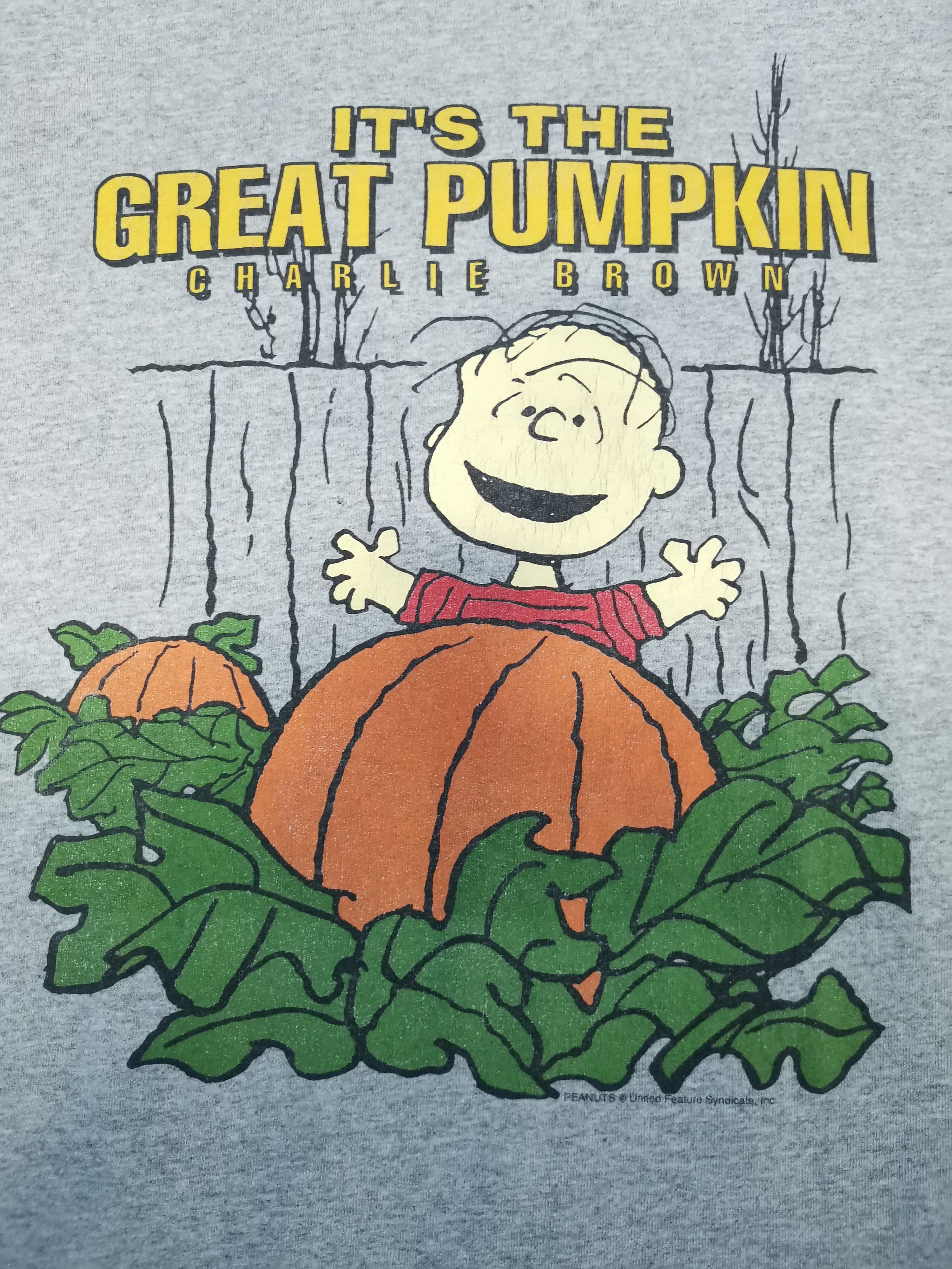 image of Cartoon Network x Peanuts Vintage Peanuts Charlie Brown Cartoons Long Sleeve Betty in Grey (Size La