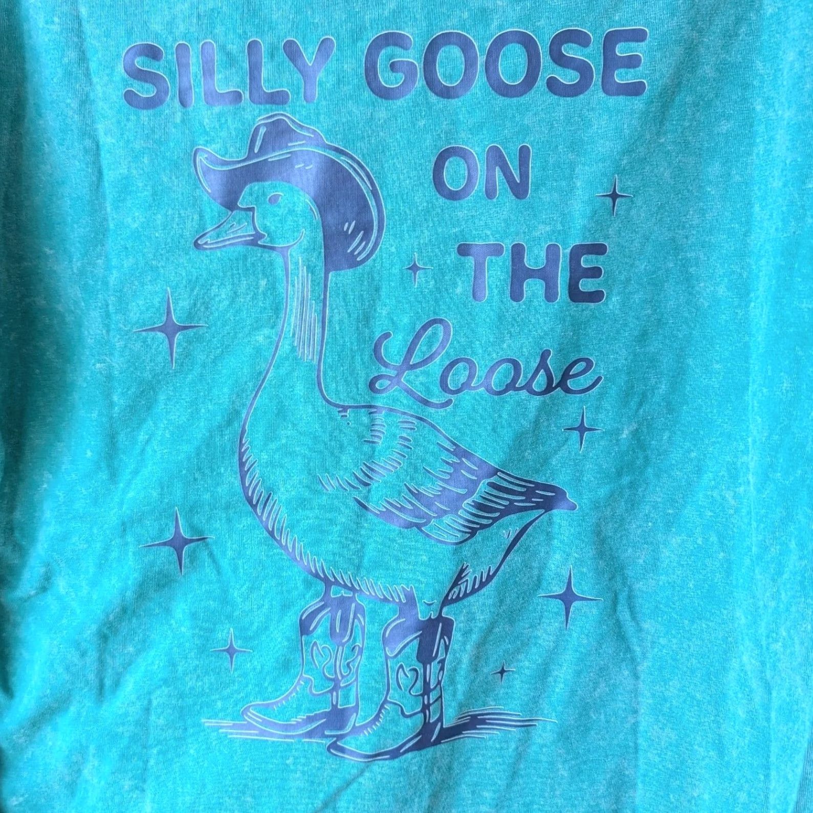 Altea Silly Goose on the Loose Graphic T-Shirt Teal Green Cotton Mens Sz S Crew Neck Short Sleeve Size US S / EU 44-46 / 1 - 3 Thumbnail