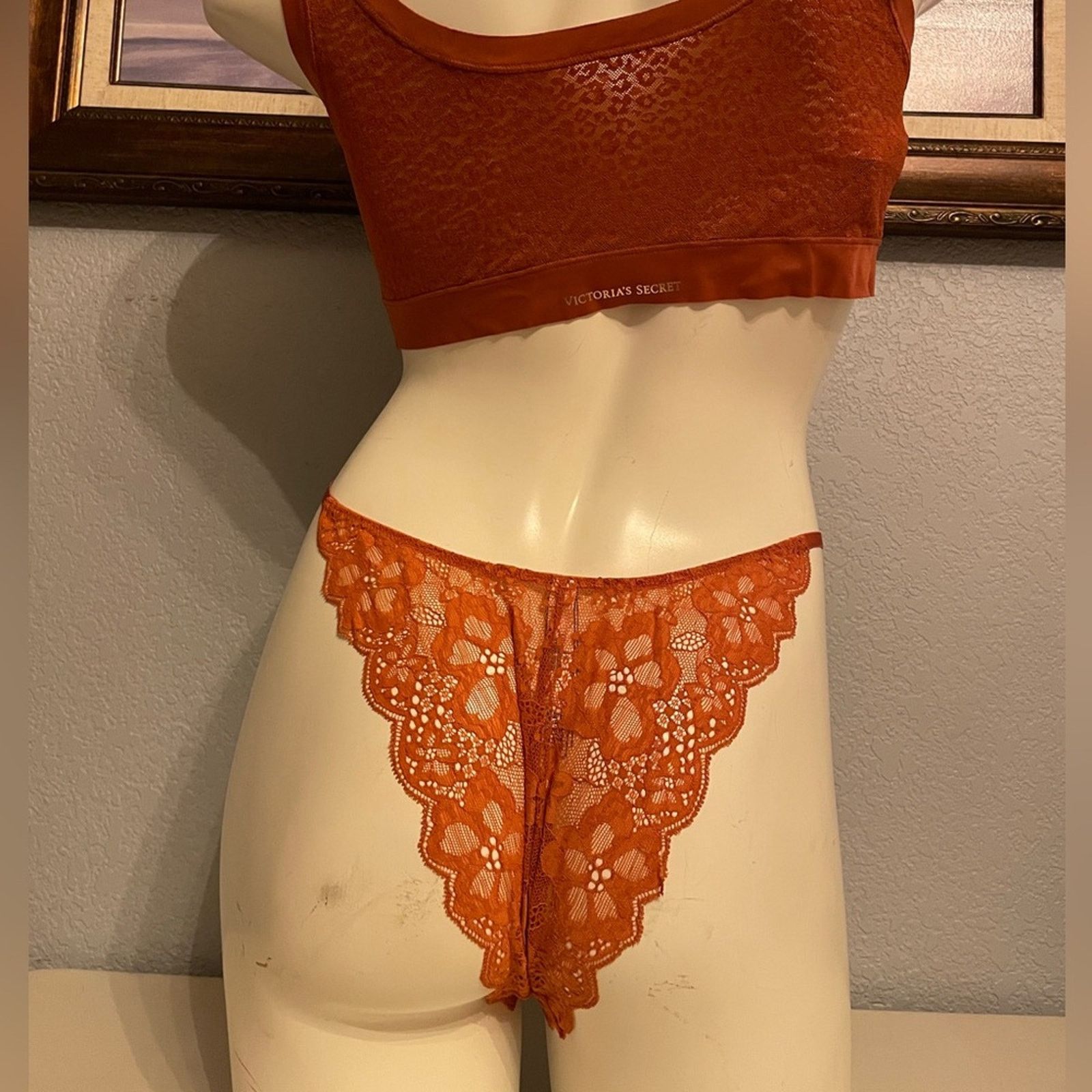 Victoria's Secret Victoria’s Secret Very Sexy Brazilian Slip Panty Rare Rust Size ONE SIZE - 4 Thumbnail