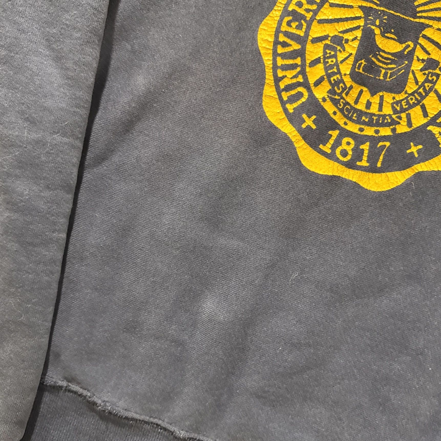 Soffe VINTAGE Soffe University Crewneck Sweatshirt L Men Blue 80’s Reverse Weave Reversible Michigan College pullover Mens Size US L / EU 52-54 / 3 - 2 Thumbnail