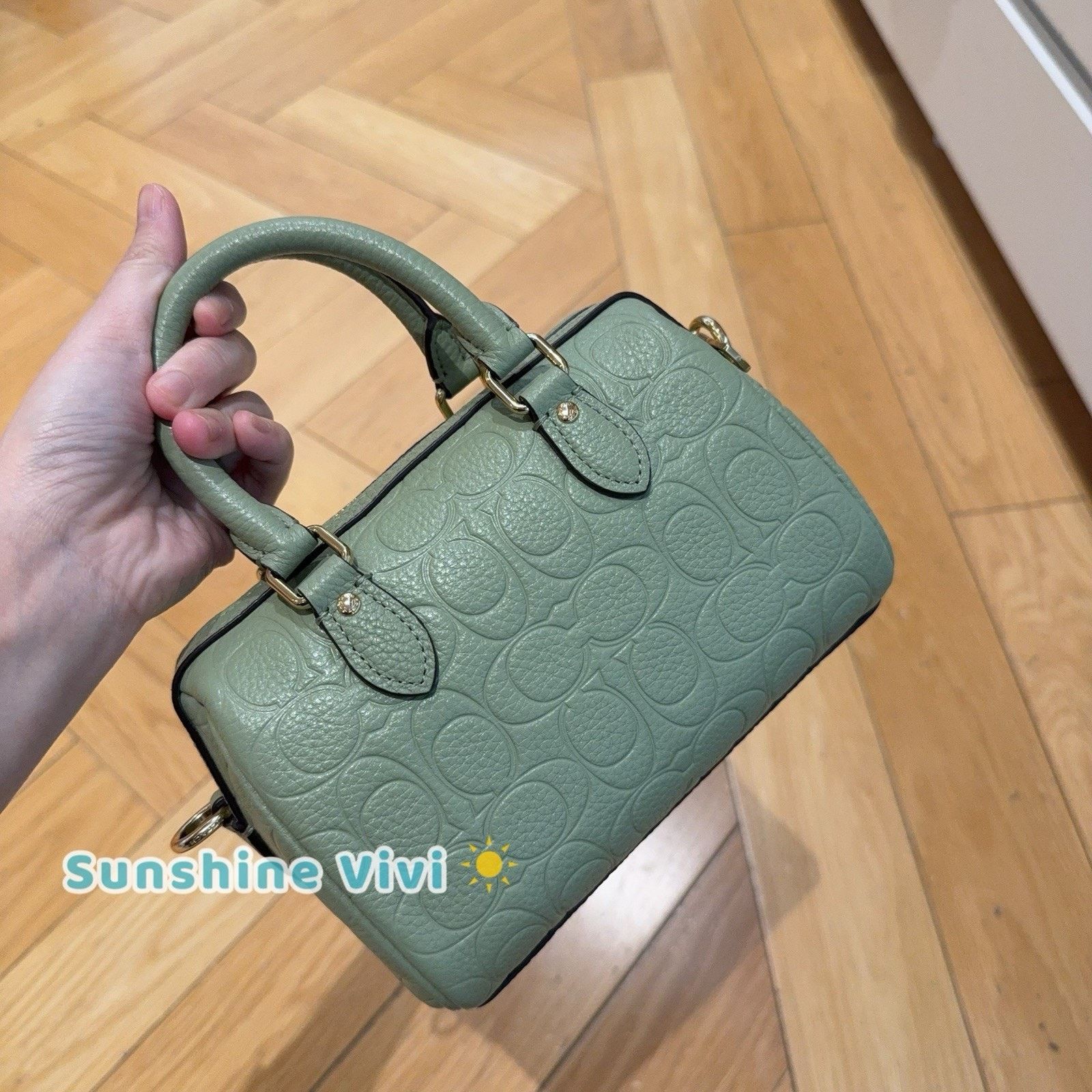 Coach NWT Coach Mini Rowan Crossbody Bag CEW07 leather Pistachio Size ONE SIZE - 2 Thumbnail