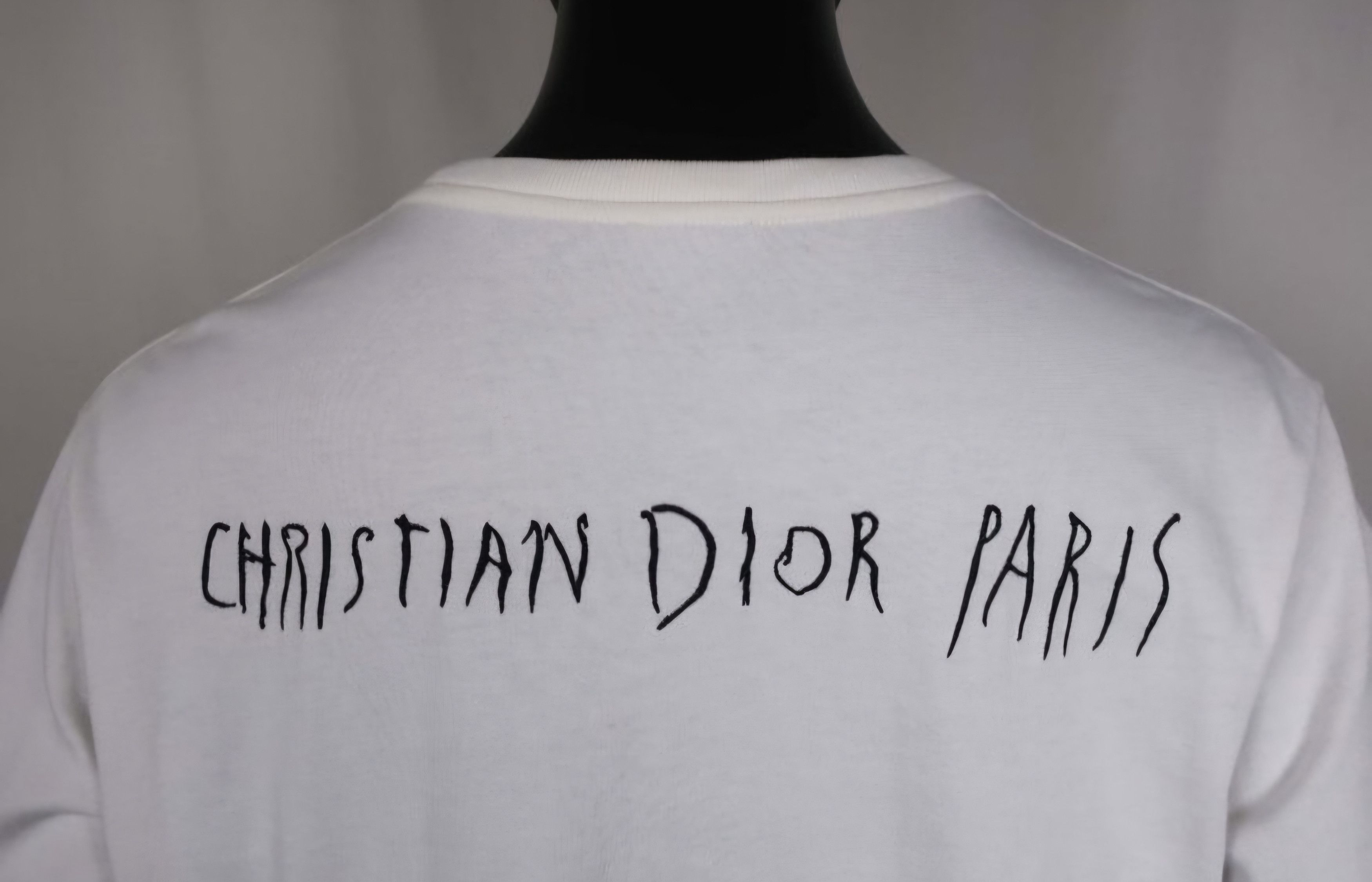 Dior Dior x Raymond Pettibon Embroidered Crewneck T-Shirt Size US L / EU 52-54 / 3 - 11 Thumbnail