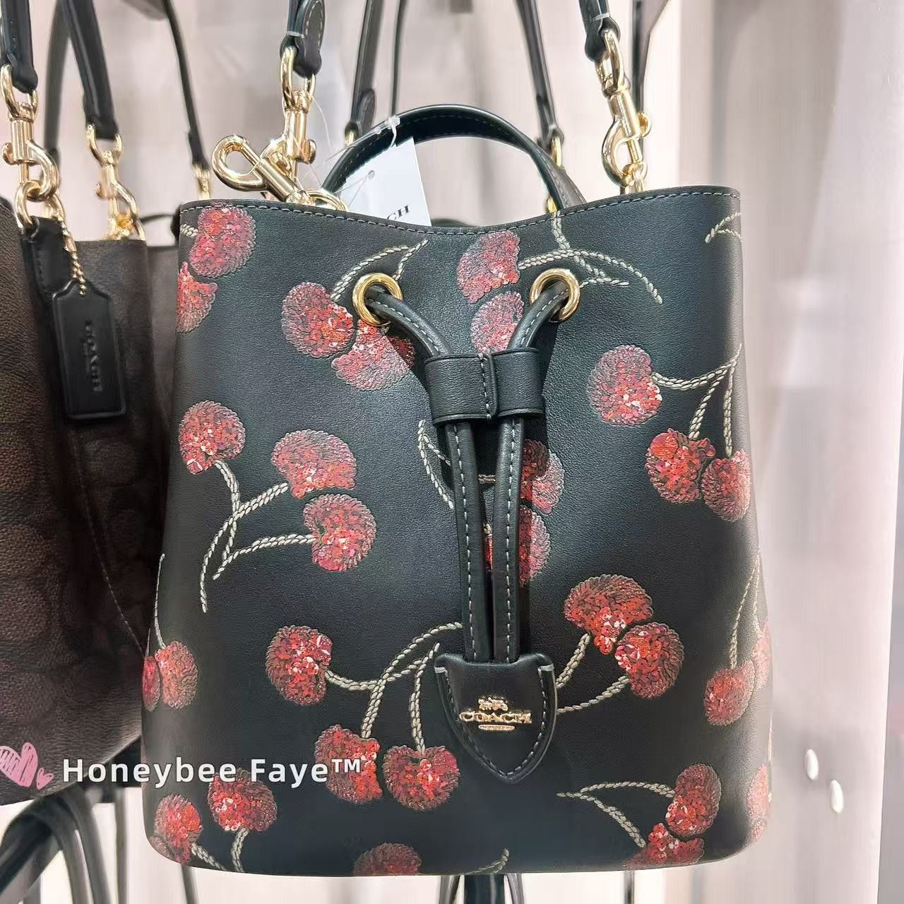 Coach Nwt Coach Rowan Bucket Bag With Cherry Print CCZ17 🍒 Size ONE SIZE - 3 Thumbnail