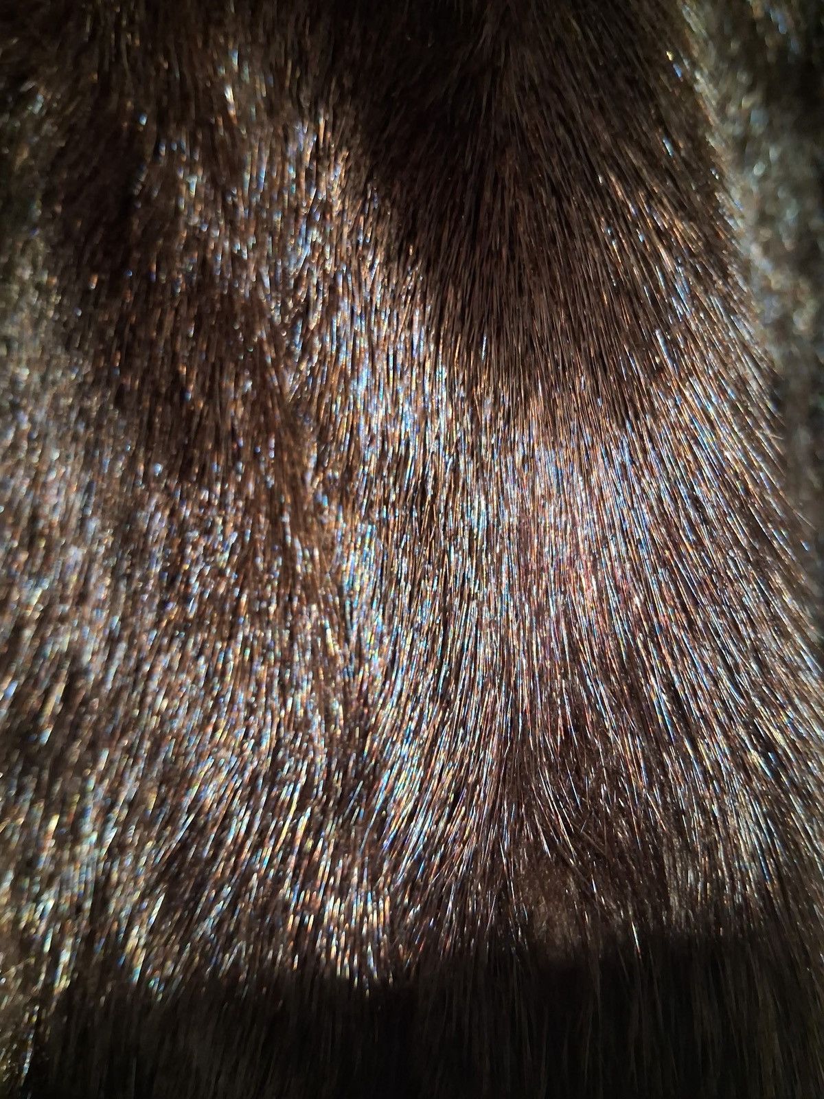 Other Mink Fur coat Size US XXL / EU 58 / 5 - 8 Thumbnail
