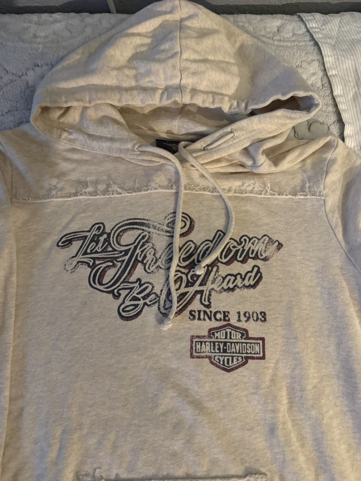 Harley Davidson harley davidson let freedom be head hoodie Size US M / EU 48-50 / 2 - 2 Thumbnail