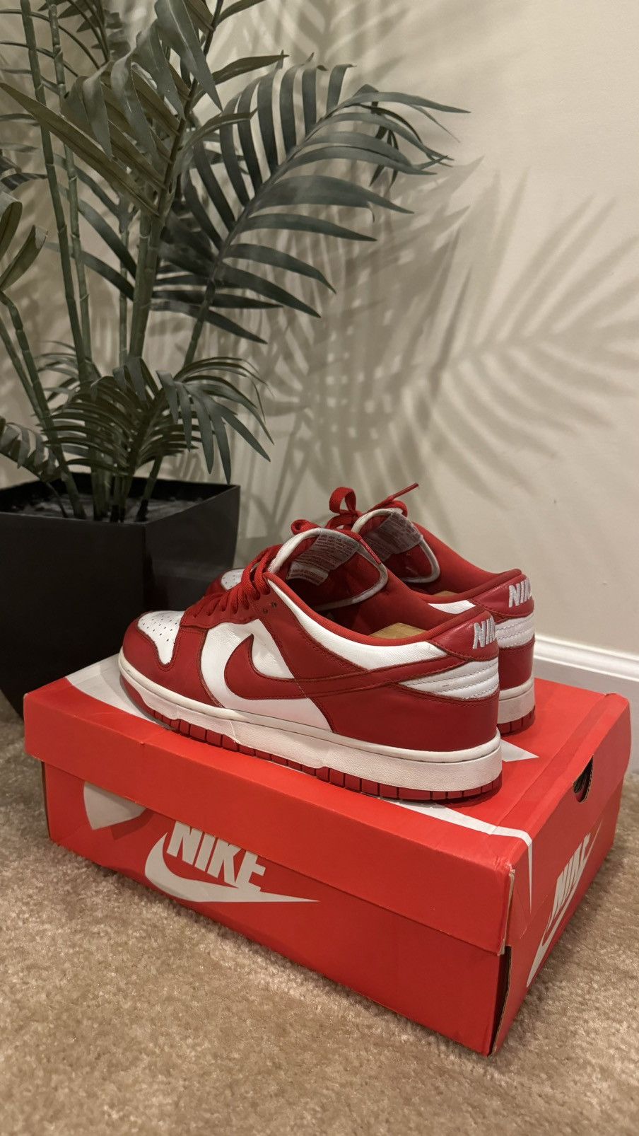 image of Nike Dunk University Red - Sz.10 - Good Condition Shoes, Men's