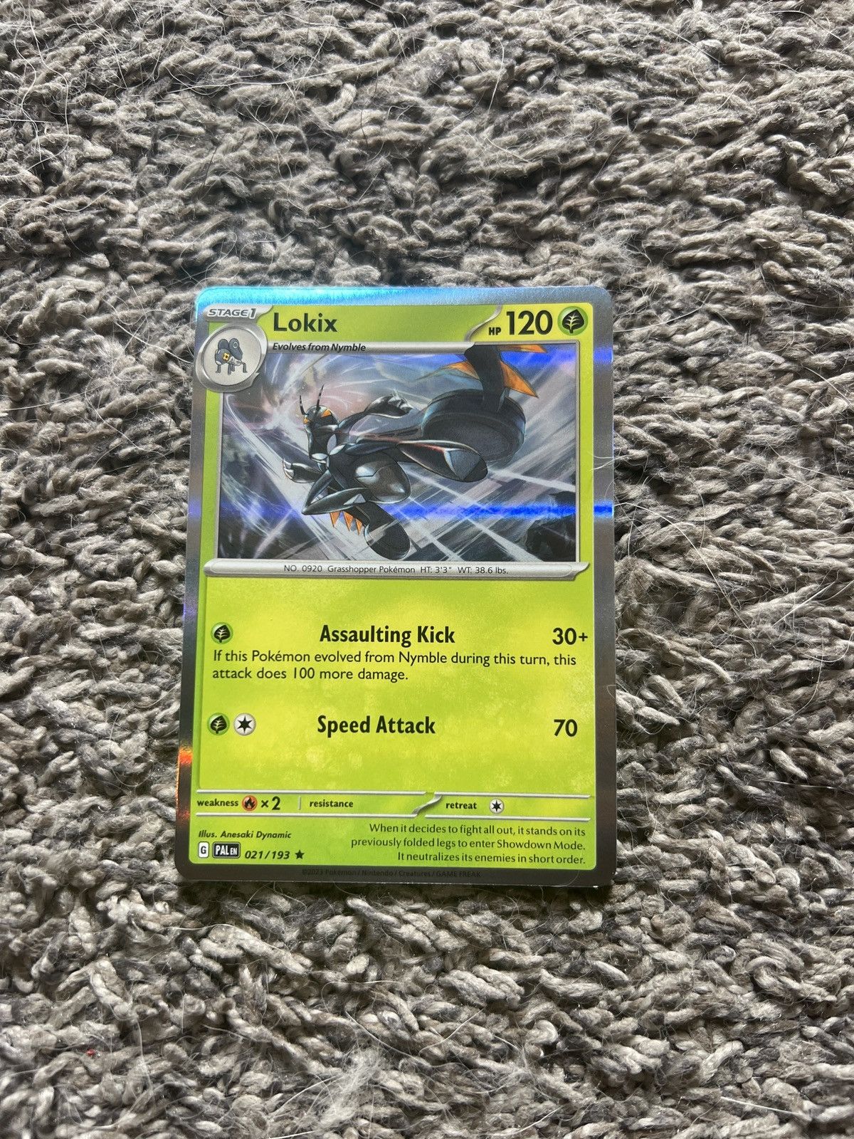 2023 Pokémon Lokix Stage 1 Card