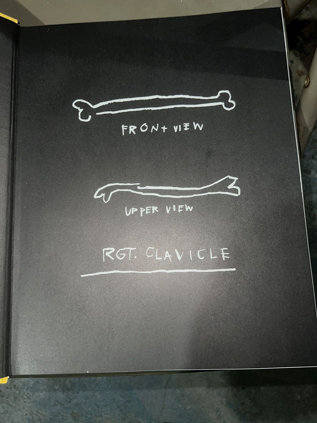 Jean-Michel Basquiat John Michael Basquiat 1992 art book Size ONE SIZE - 9 Thumbnail