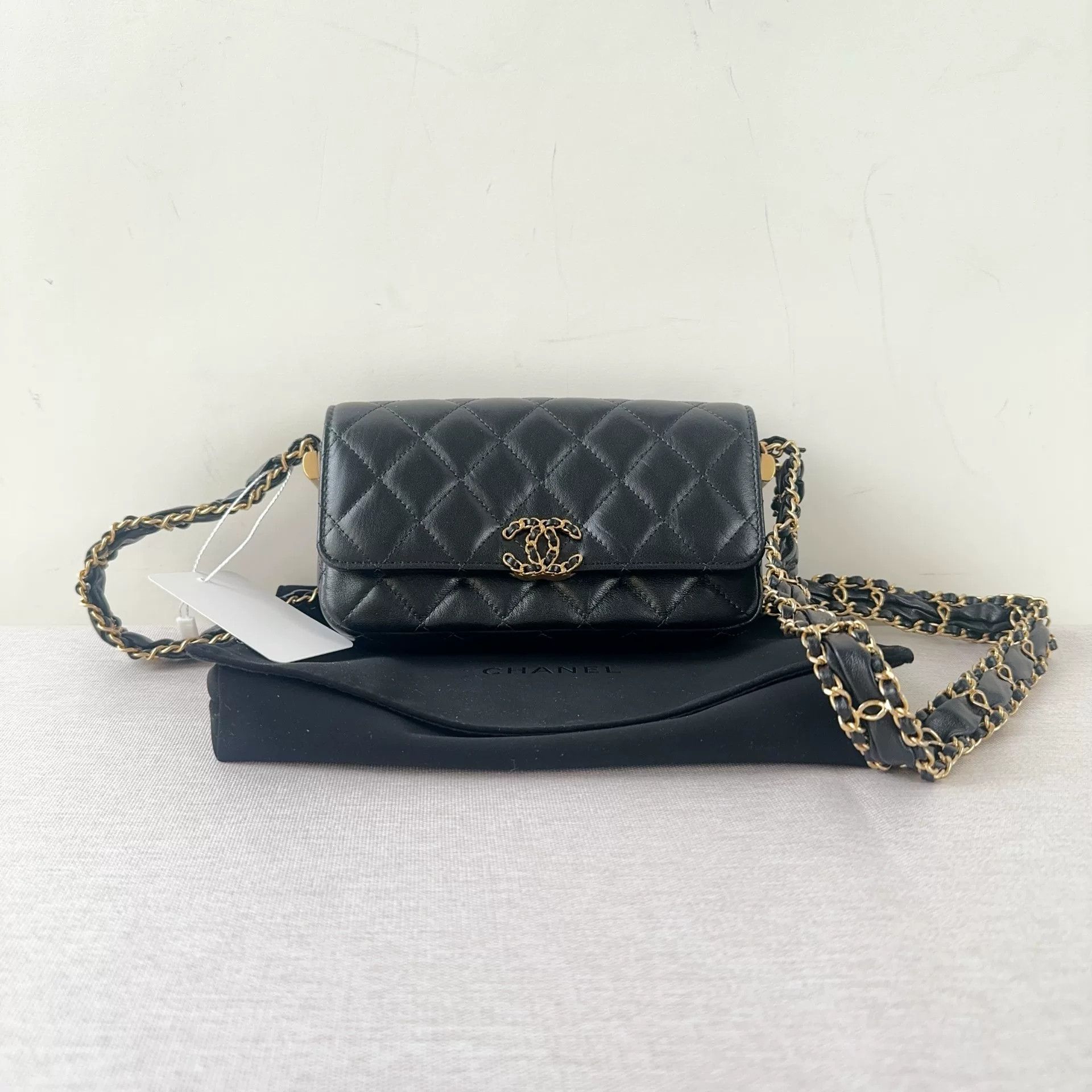 Chanel Pre-loved Bag Brand new condition Size ONE SIZE - 1 Thumbnail