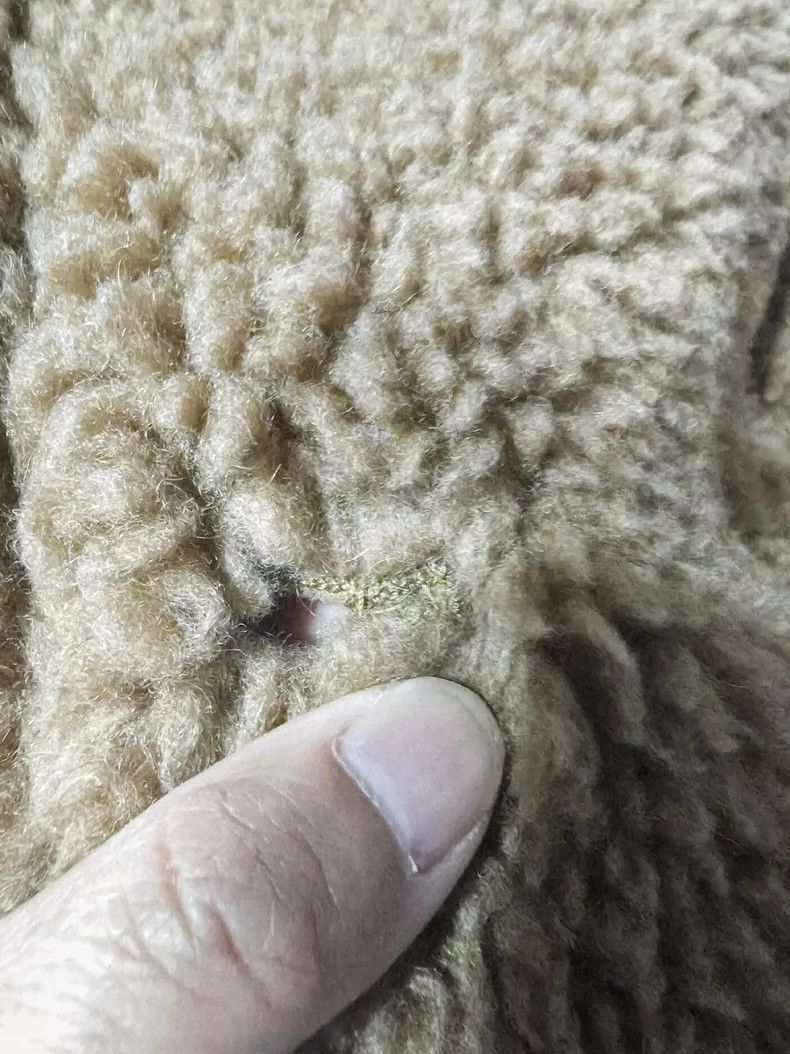 Max Mara Max Mara Teddy bear coat Size XS / US 0-2 / IT 36-38 - 6 Thumbnail