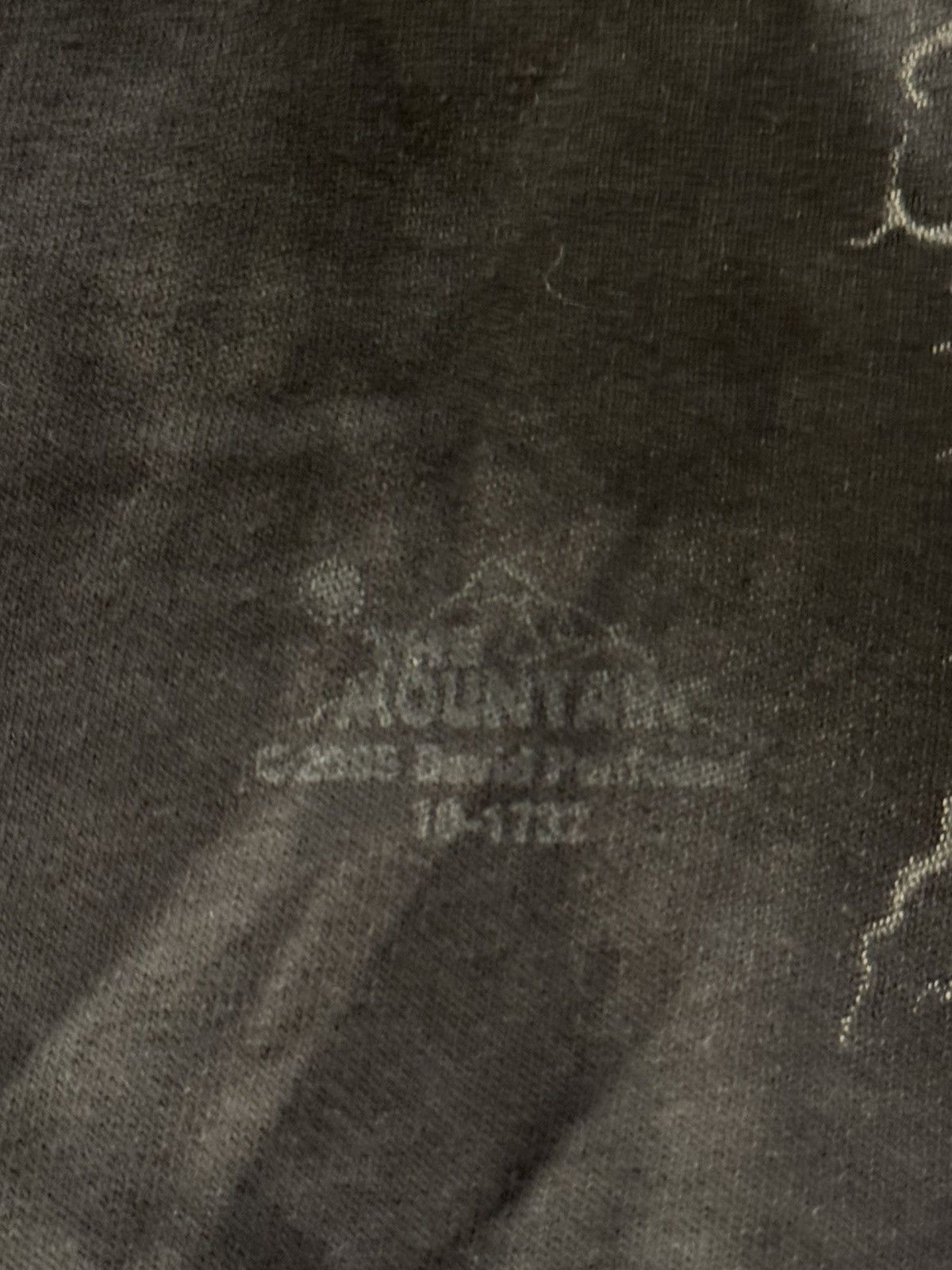 The Mountain Y2K 2005 The Mountain Tiger Tee Size US M / EU 48-50 / 2 - 4 Thumbnail
