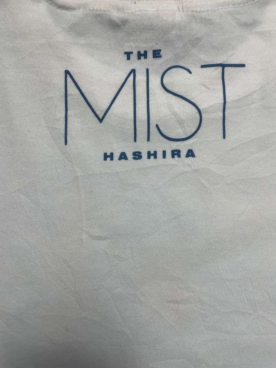 Cartoon Network × Vintage Demon Slayer Mist Hashira Muichiro Tokito Anime Tee Size US M / EU 48-50 / 2 - 3 Thumbnail