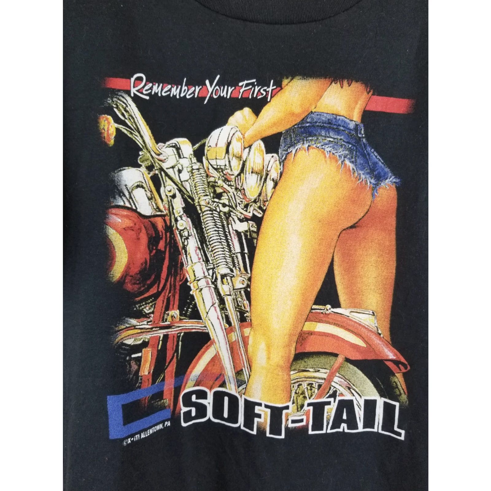 Vintage VINTAGE 90' SOFT-TAIL MOTORCYCLE BLACK COTTON T-SHIRT SZ LARGE MINTY Size US L / EU 52-54 / 3 - 2 Thumbnail