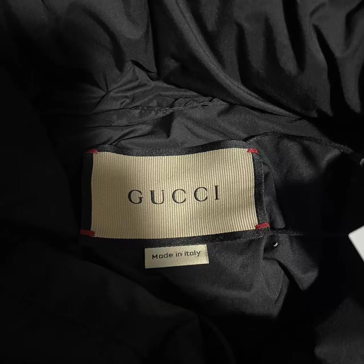 Gucci Gucci SS24 Colorblocked Logo Hooded Puffer Jacket Size 52 Size US L / EU 52-54 / 3 - 3 Thumbnail