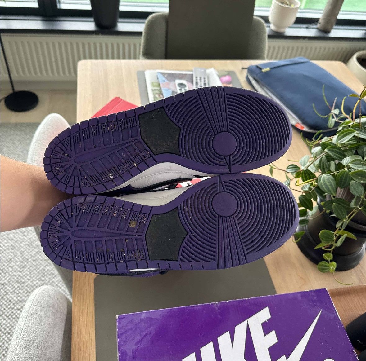 Nike Dunk Low SB Court Purple