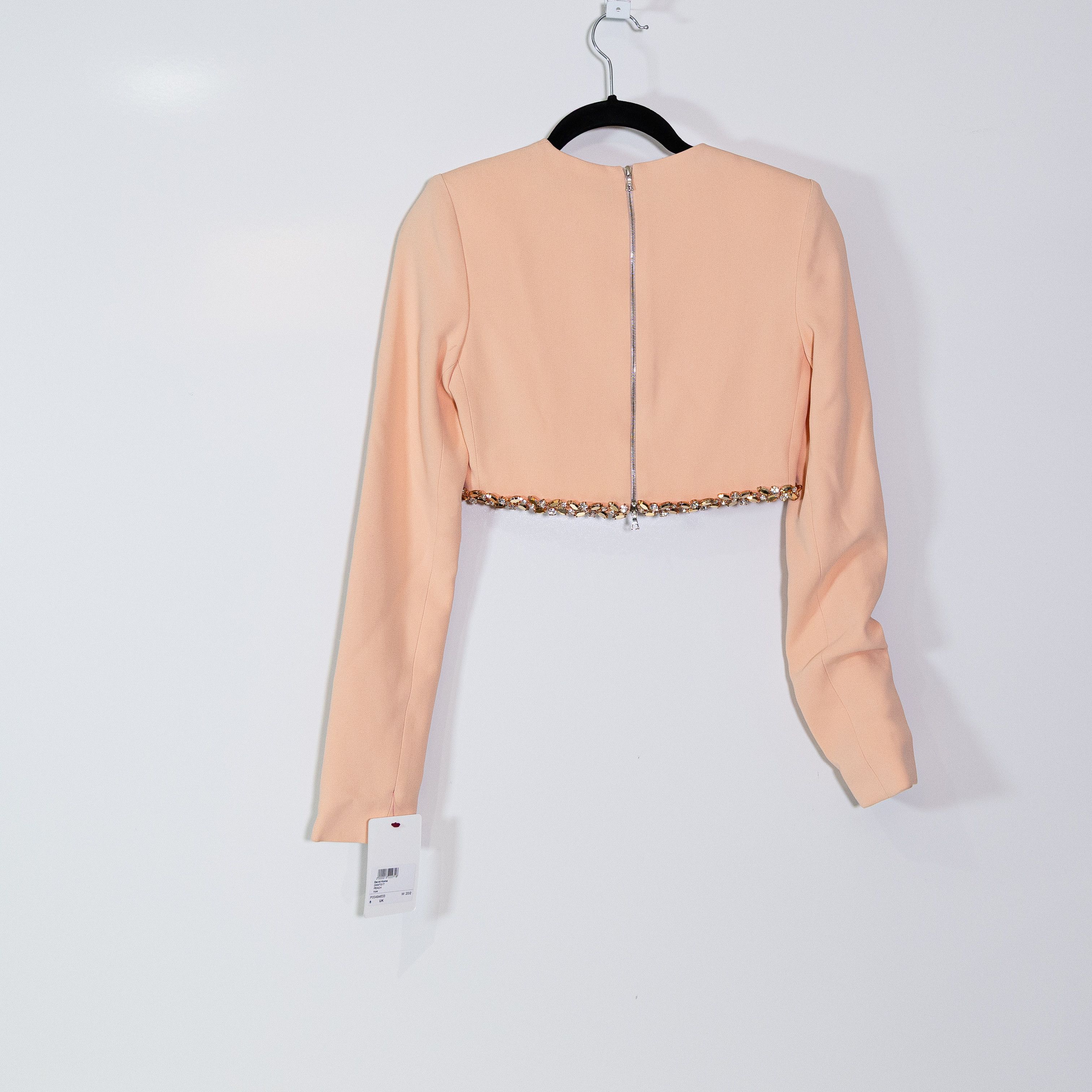 Other NEW David Koma Cady Long Sleeve Crystal Size M / US 6-8 / IT 42-44 - 4 Thumbnail