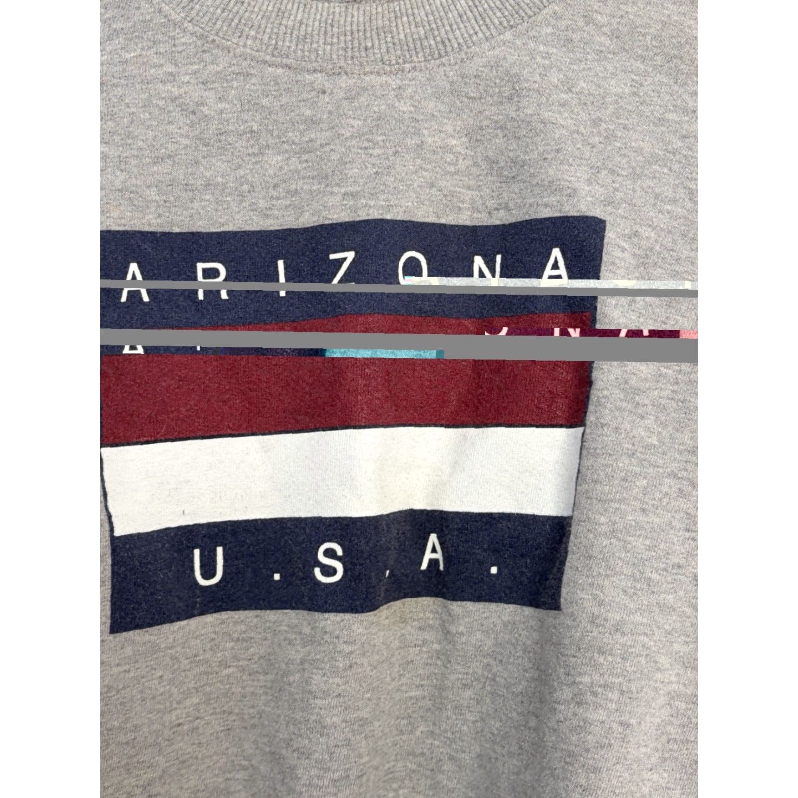 Hanes VINTAGE Hanes Sweatshirt Pullover 90s Arizona Graphic Print Crew Neck Long Sleeve Unisex XL Gray Western Nature Logo Size US XL / EU 56 / 4 - 4 Thumbnail