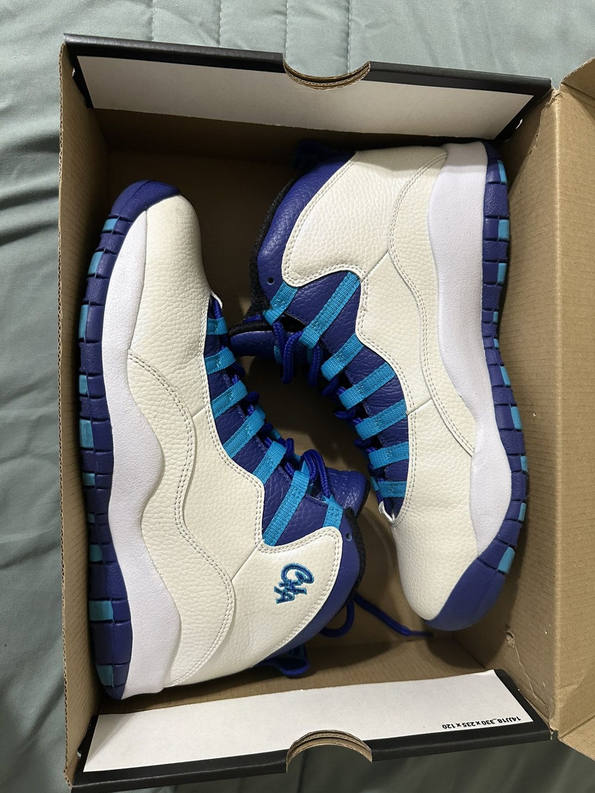 Jordan Brand Jordan 10 “Charlotte” Size US 8.5 / EU 41-42 - 1 Thumbnail