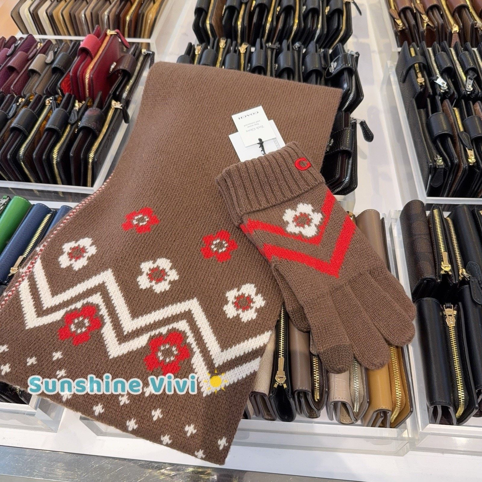 Coach NWT Bundle Coach Knit Muffler CCW05 & Gloves CCW71 Sable Size ONE SIZE - 1 Thumbnail