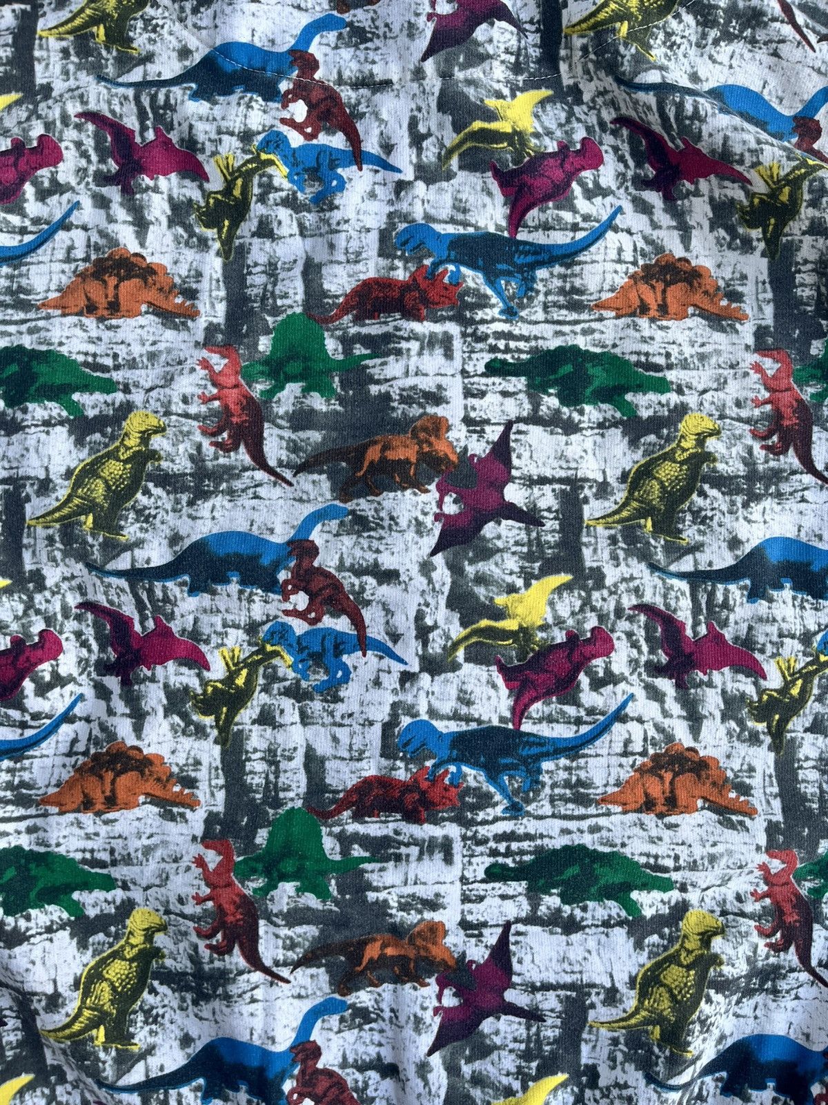 Other RARE Dinosaur Y2K full zip hoodie Size US L / EU 52-54 / 3 - 3 Thumbnail