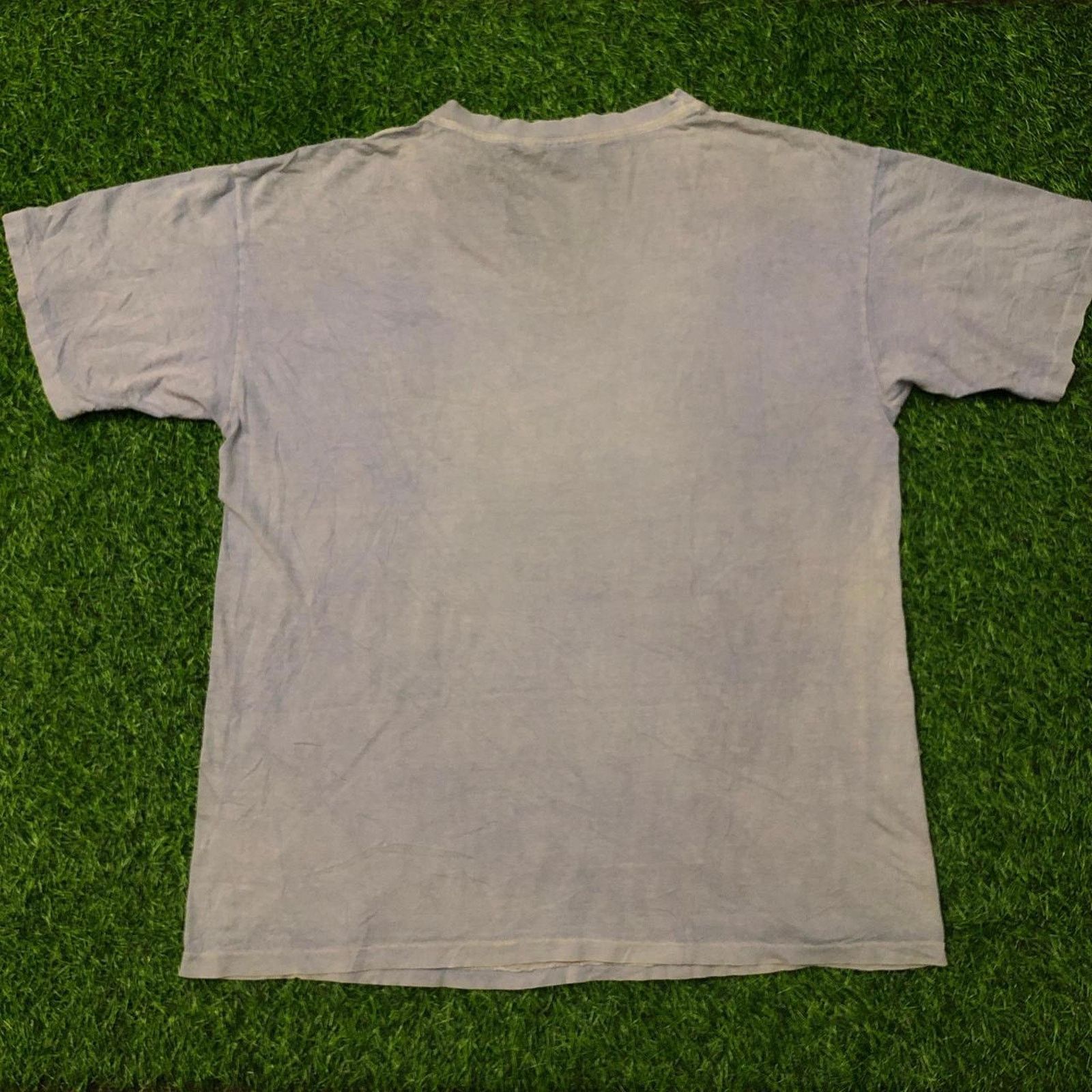 Other Lilac Pismo Beach Dolphin Graphic Tee Size US XXL / EU 58 / 5 - 2 Thumbnail