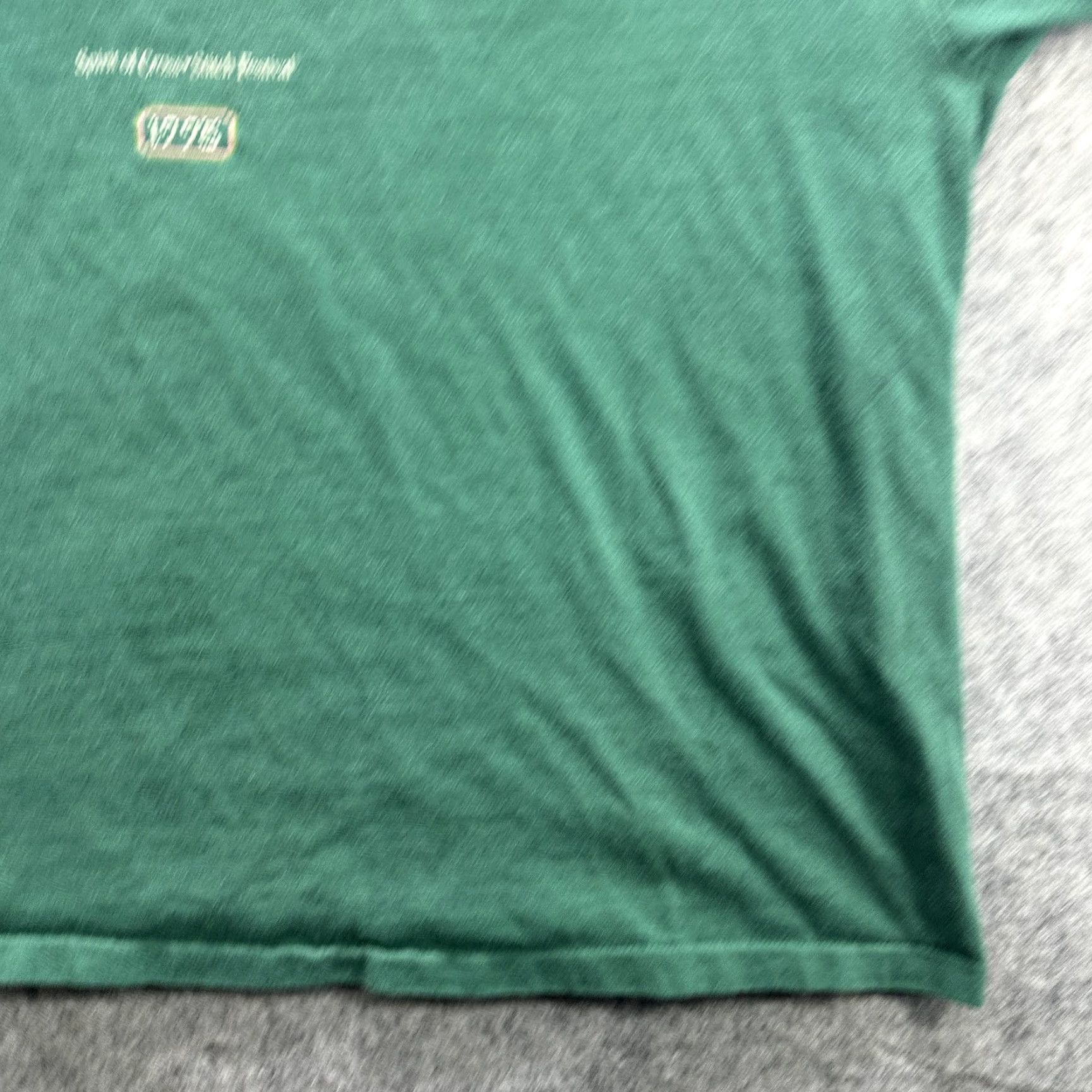 Hanes VINTAGE Hanes Spirit of Cross Stitch Festival Shirt Mens 2XL Green Crew Neck Short Sleeve 1995 90s Quote Size US XXL / EU 58 / 5 - 5 Thumbnail