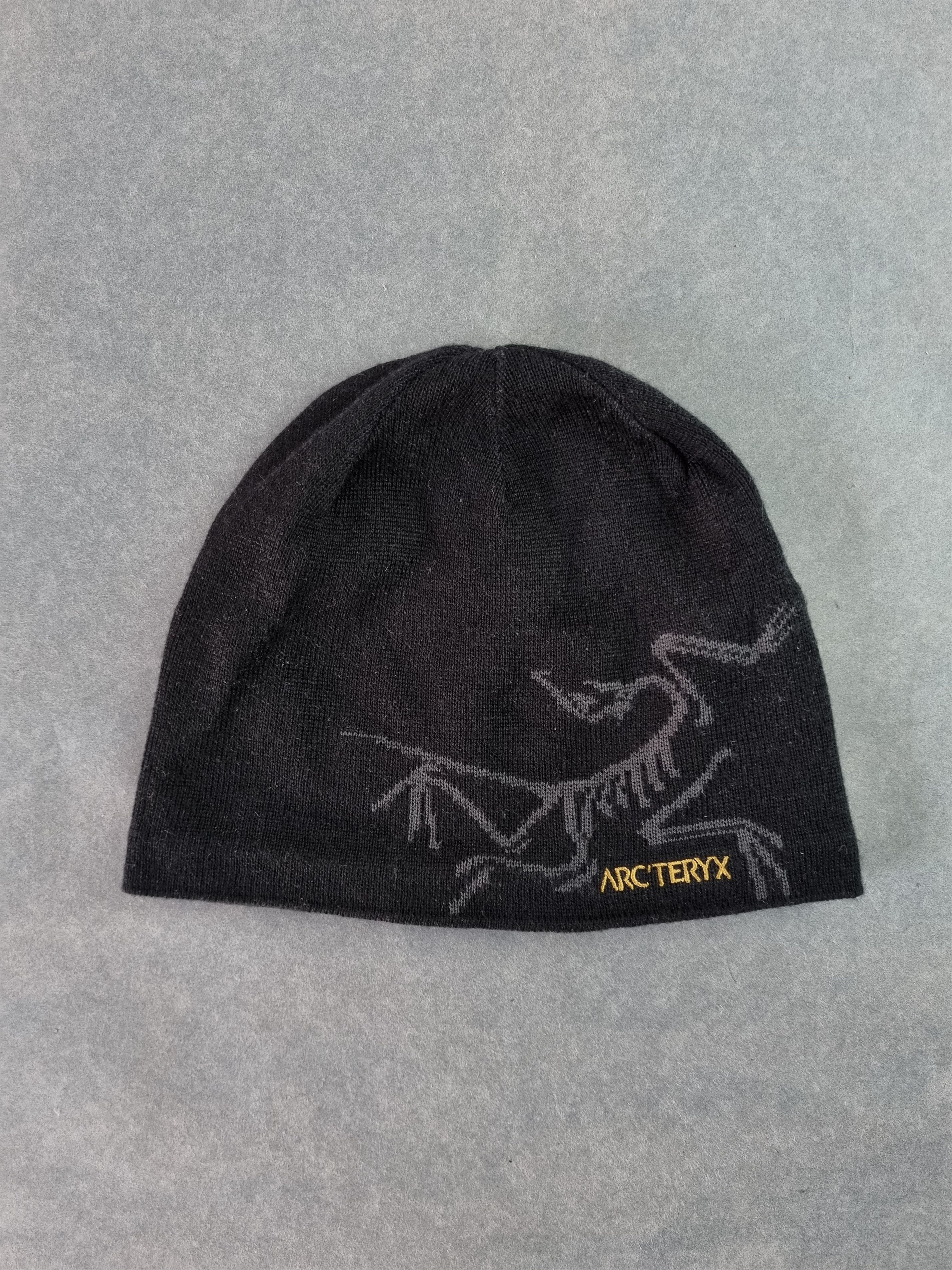 Arc'teryx ArcTeryx Big Logo Fleece Inside Hat Size ONE SIZE - 9 Thumbnail
