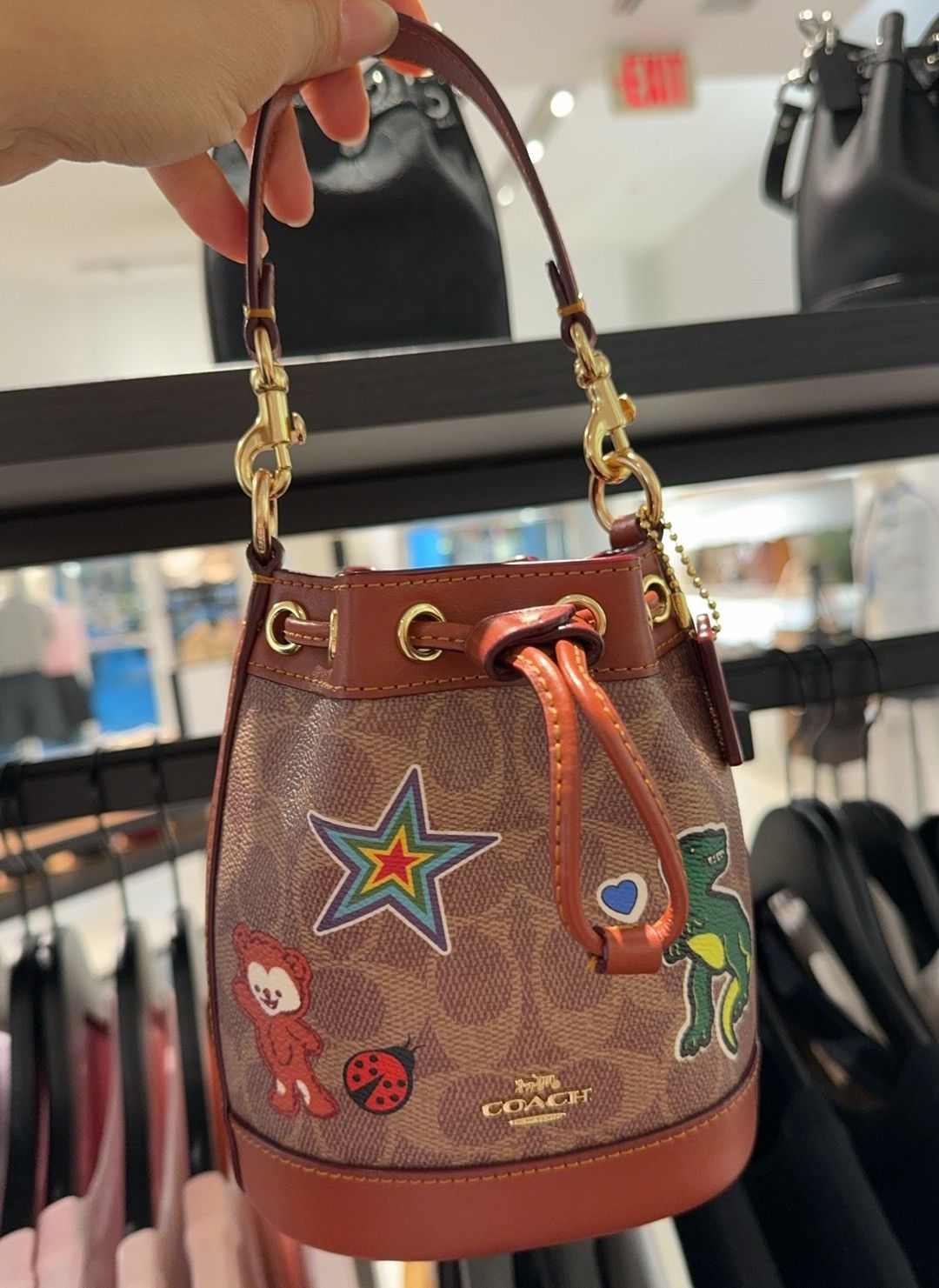 Coach on sale Small bucket bag