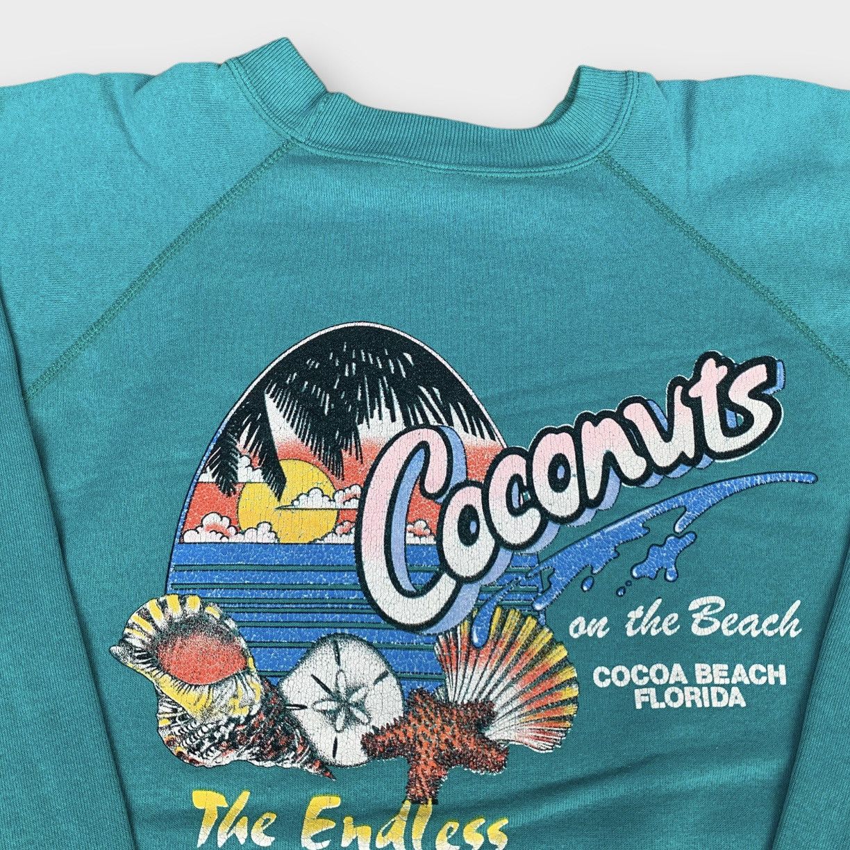 Hanes Vintage 80s Hanes Coconuts Beach Florida Crewneck Size US M / EU 48-50 / 2 - 6 Thumbnail