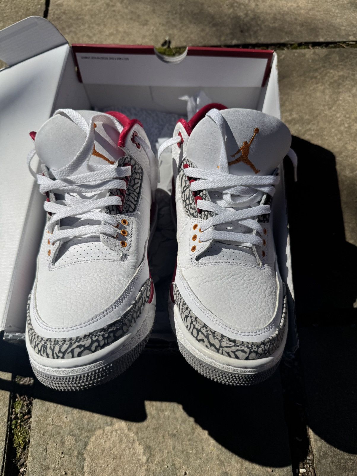 Jordan Brand × Nike Cardinal red Jordan 3 Size US 10.5 / EU 43-44 - 1 Thumbnail