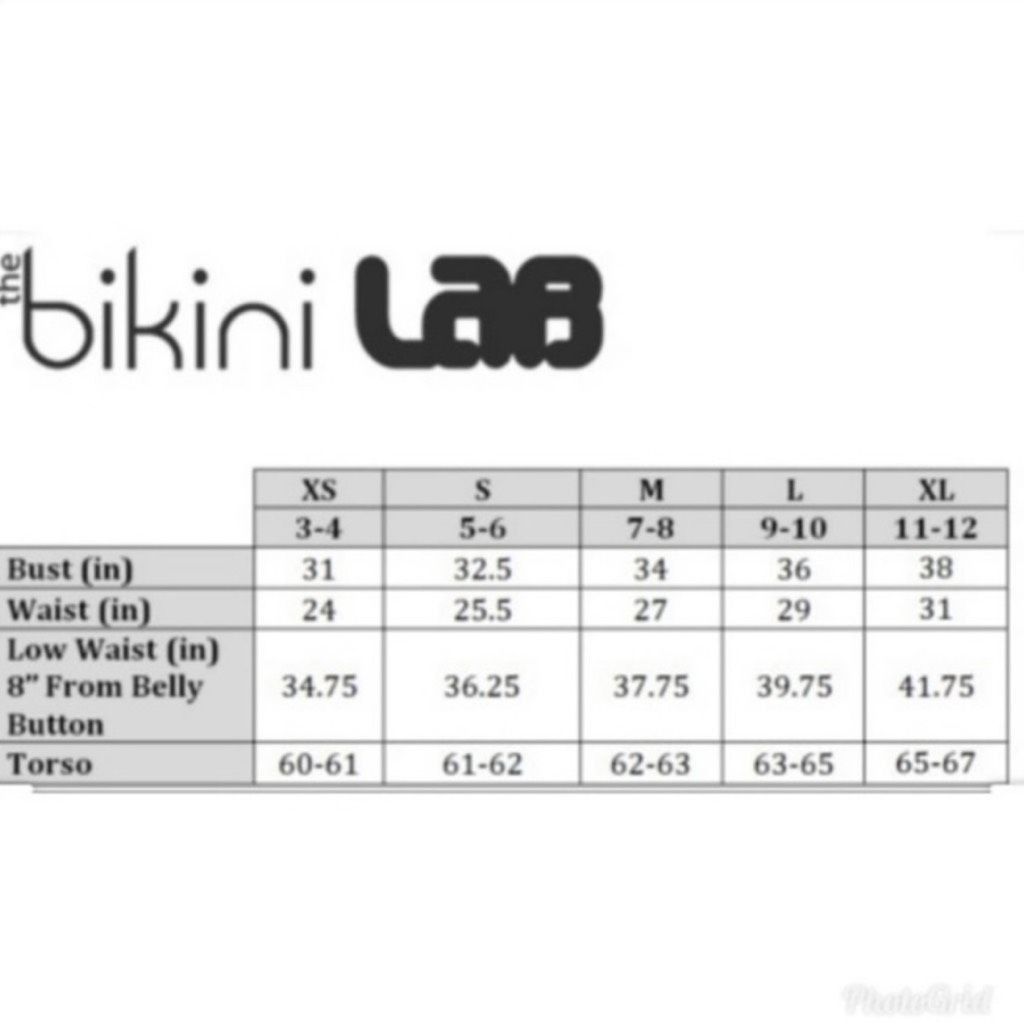 Other The Bikini Lab Rack Solid Plunge Shirred Booty One-Piece Hal Size M / US 6-8 / IT 42-44 - 5 Thumbnail
