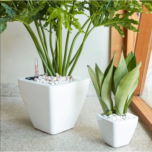 Designer × Homemade 2-Pack Smart Self-watering Planter Pot for Indoor and Outdoo Size US L / EU 52-54 / 3 - 7 Thumbnail