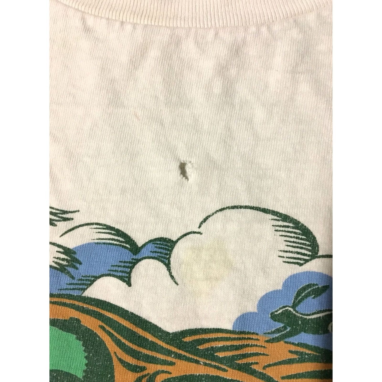Fruit Of The Loom VINTAGE Tempe Rio Salado Habitat Shirt Mens XL White Fruit of the Loom Graphic Tee 90s Nature Arizona Boho Distressed Single Stitch Size US XL / EU 56 / 4 - 6 Thumbnail